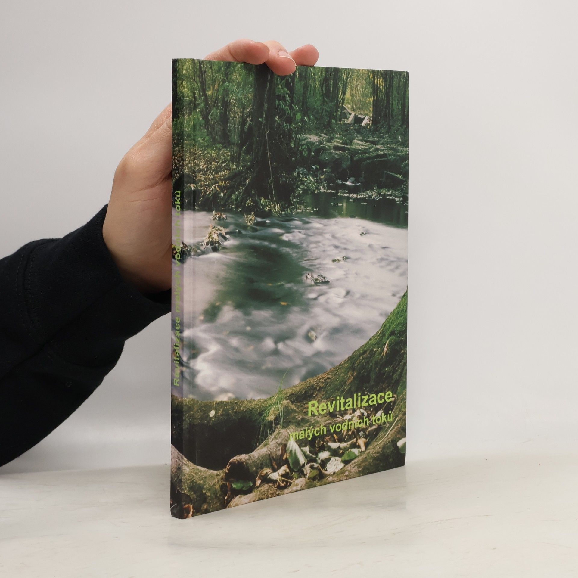 Kolektiv autorů Revitalizace malých vodních toků
