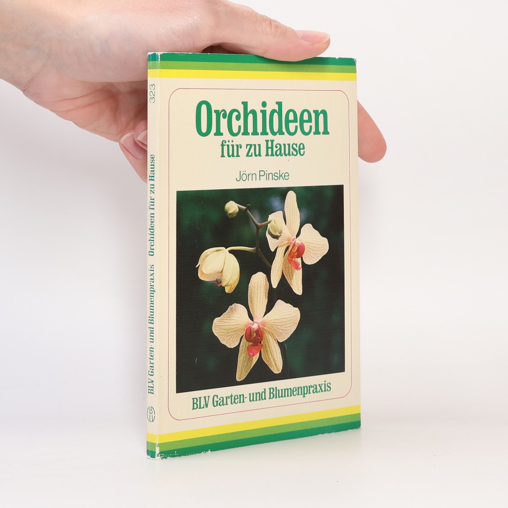 Jörn Pinske Orchideen für zu Hause