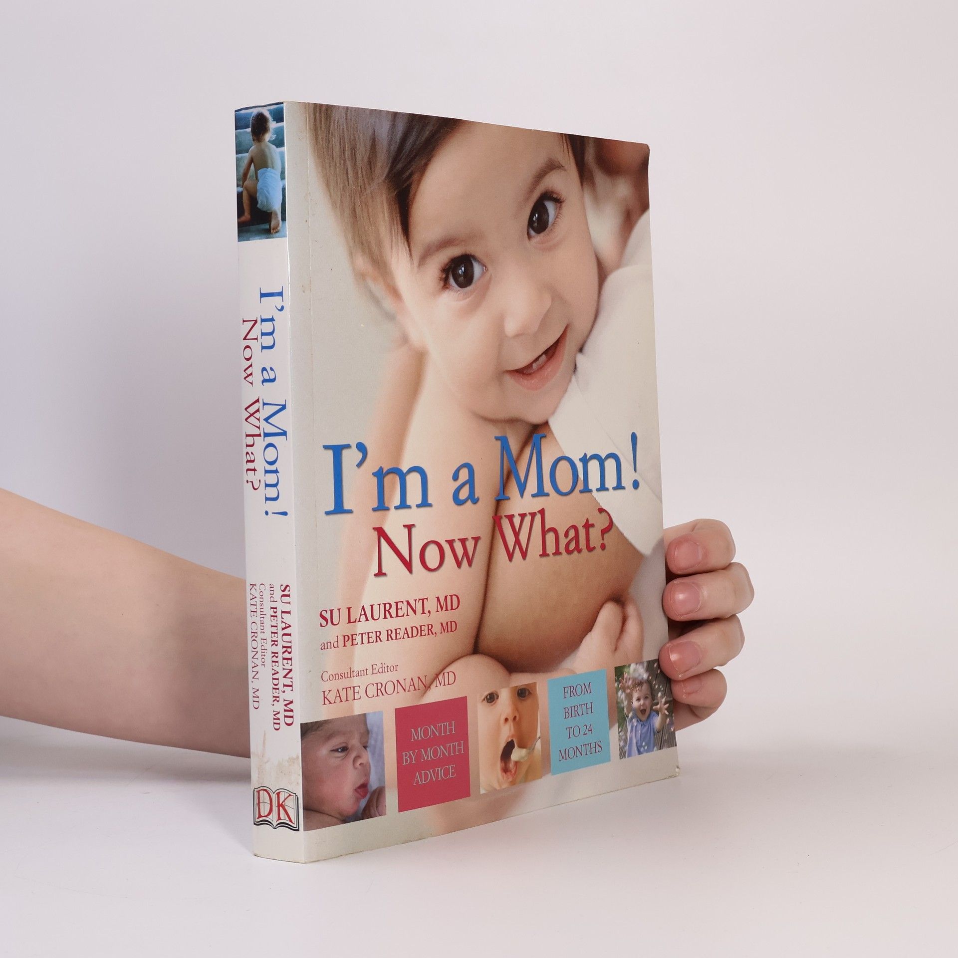 Su Laurent I'm a Mom! Now What?