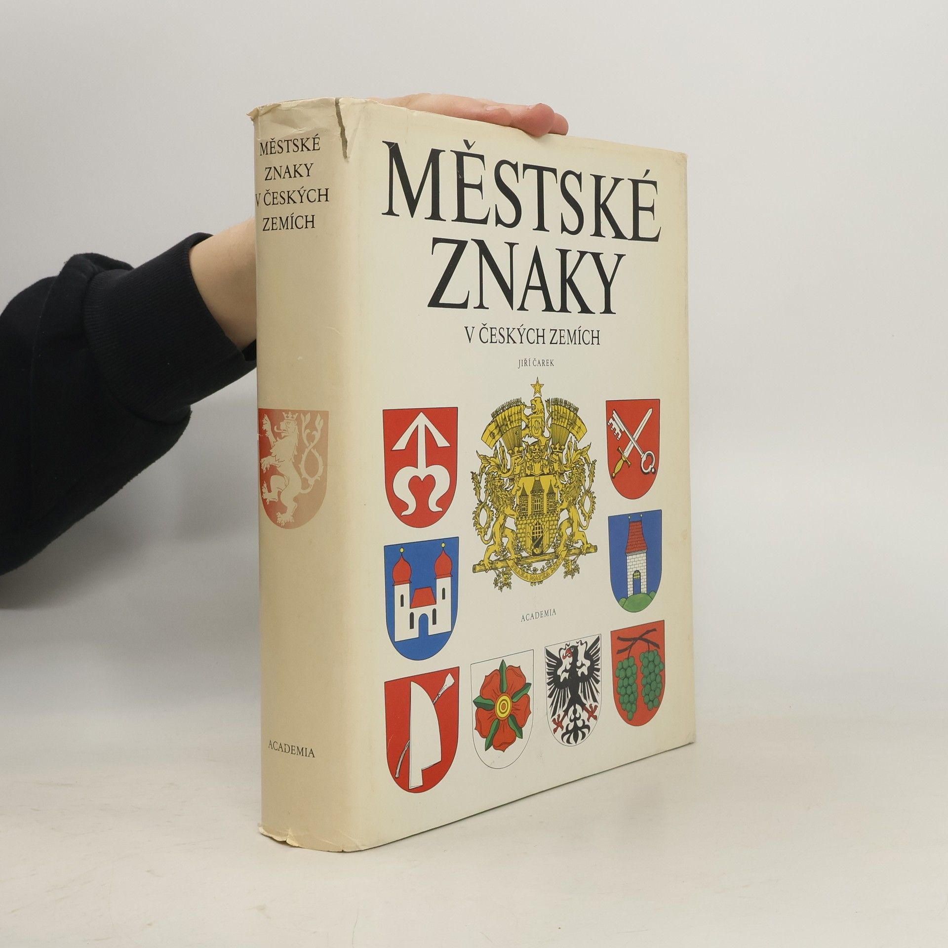 Jiří Čarek Městské znaky v českých zemích