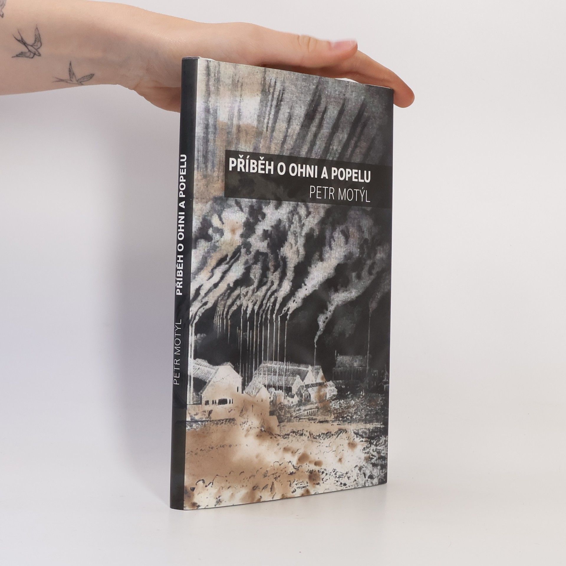 Petr Motýl Příběh o ohni a popelu