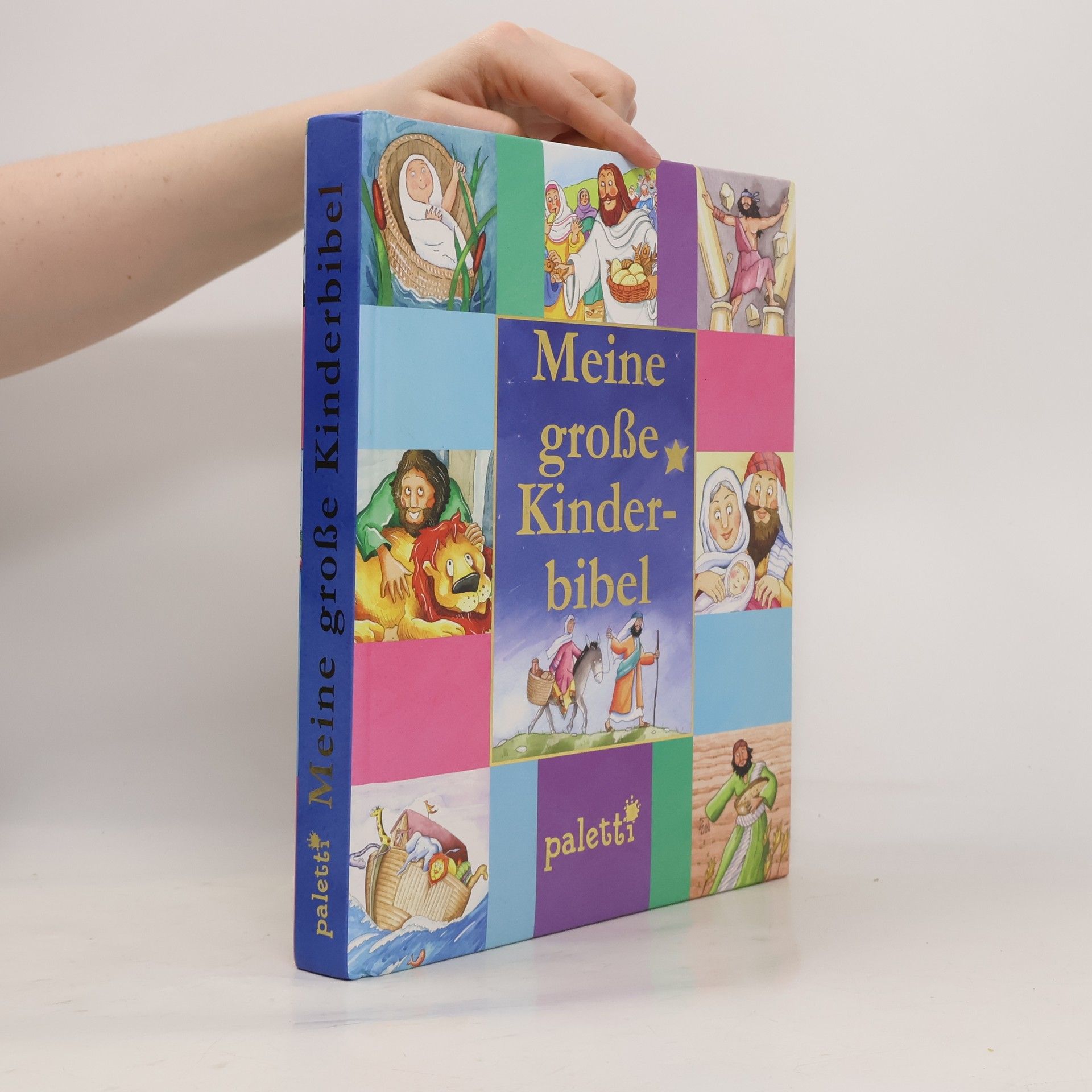 Sara Sliwinska Meine große Kinderbibel