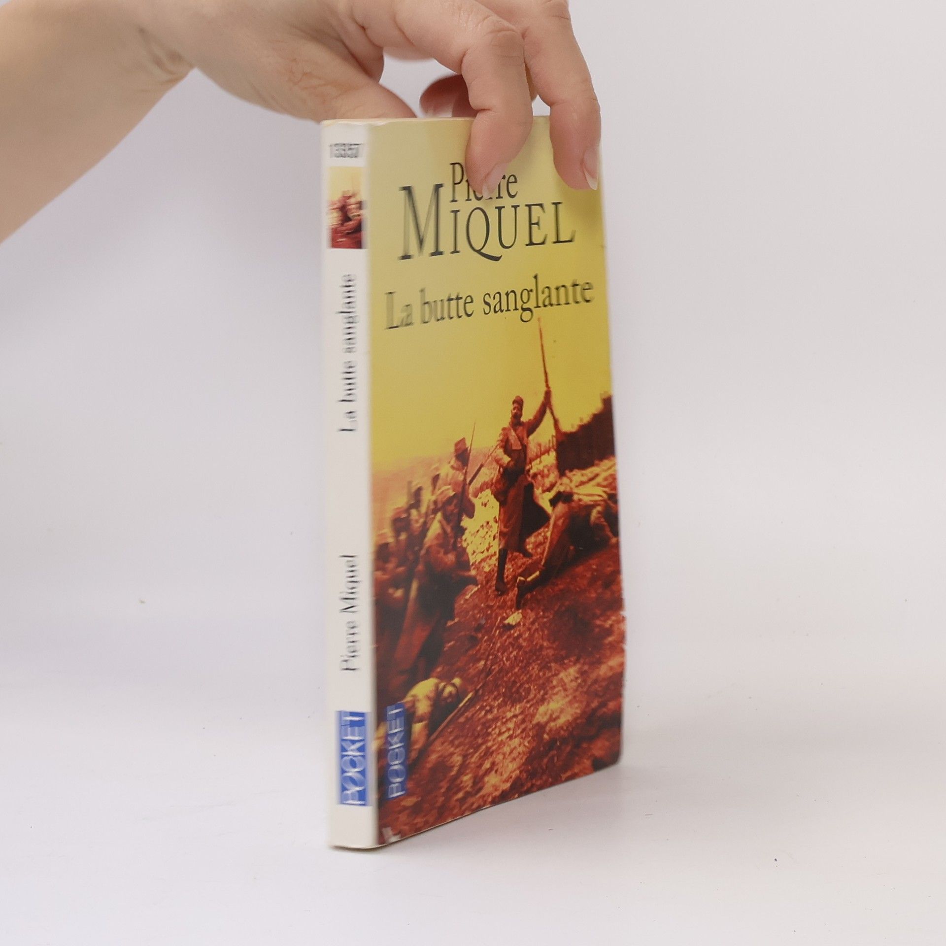 Pierre Miquel La butte sanglante