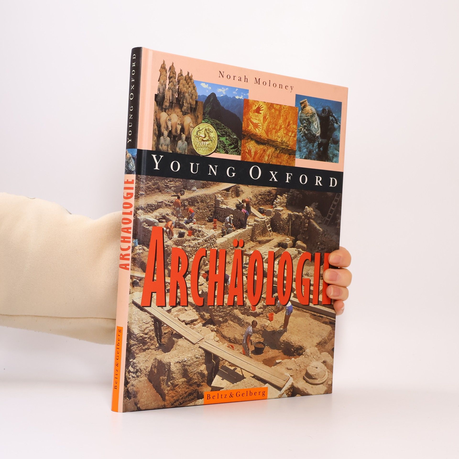 Norah Moloney Archäologie