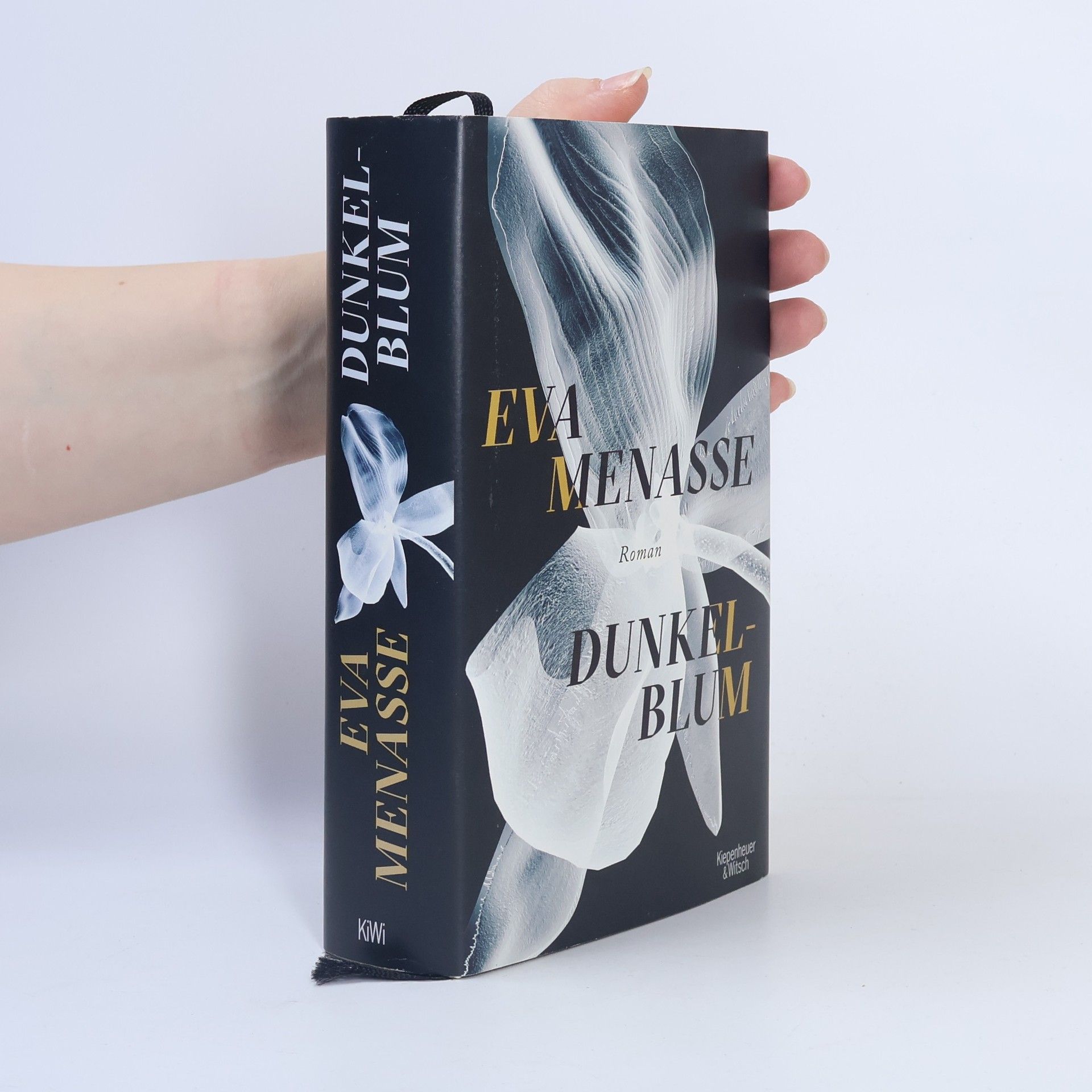 Eva Menasse Dunkelblum