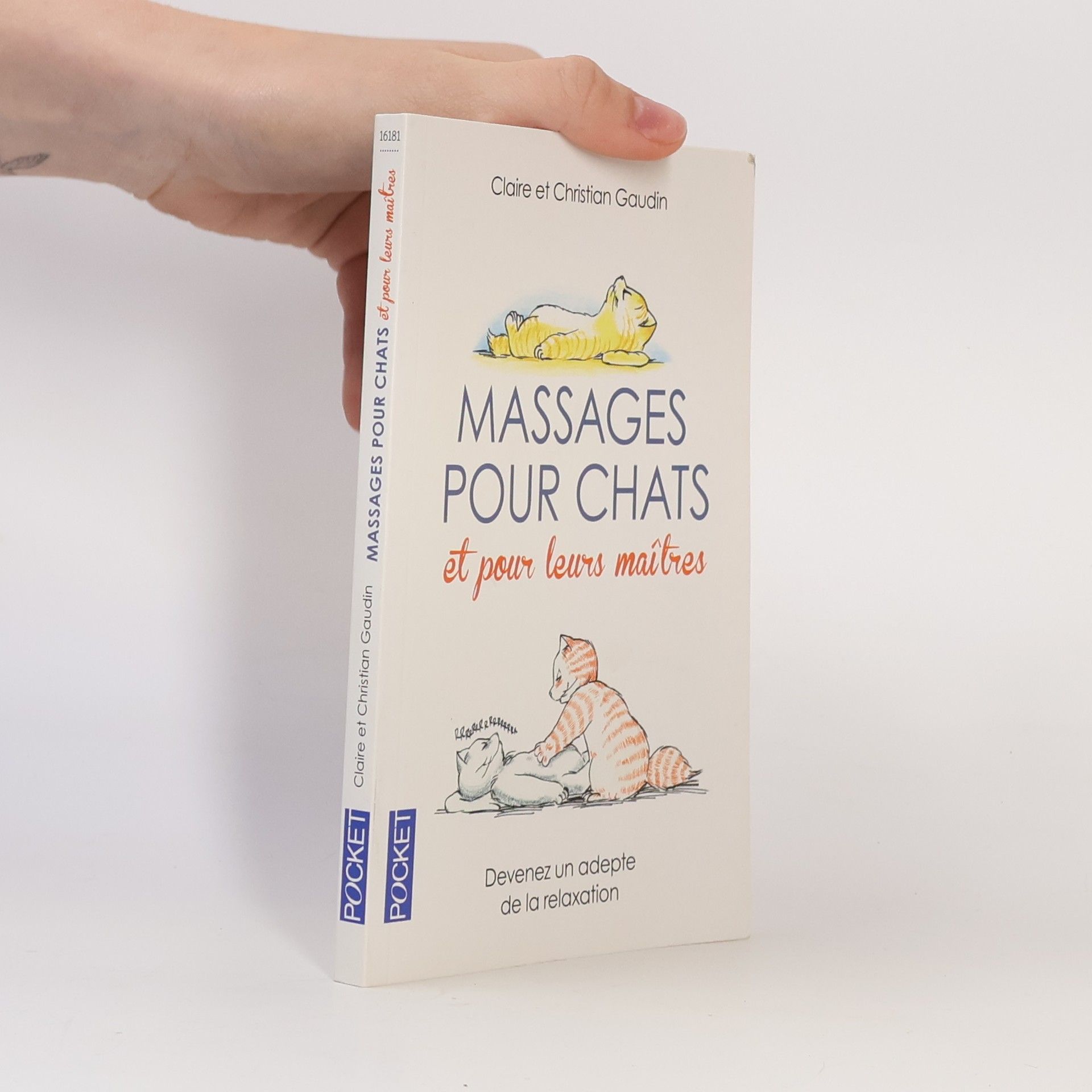 Claire Gaudin Massages pour chats et pour leurs maîtres