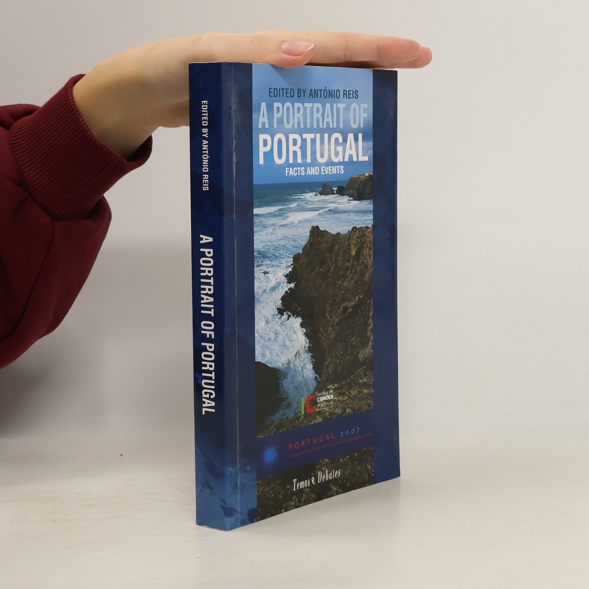 Kolektív autorov A portrait of Portugal
