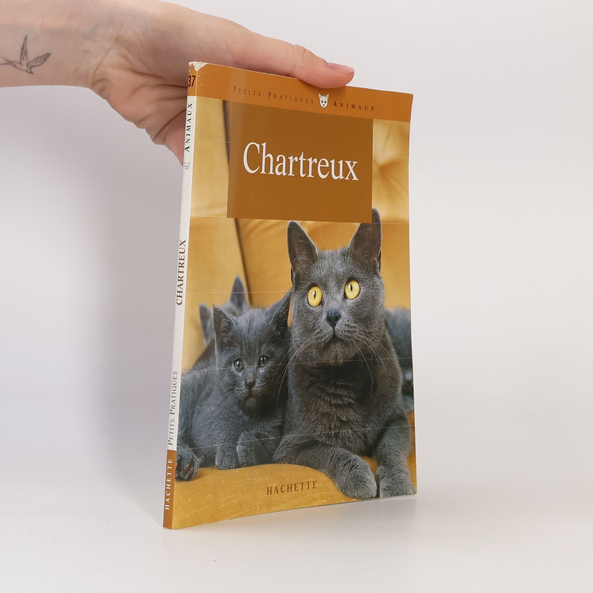 Friedhelm Lessmeier Chartreux