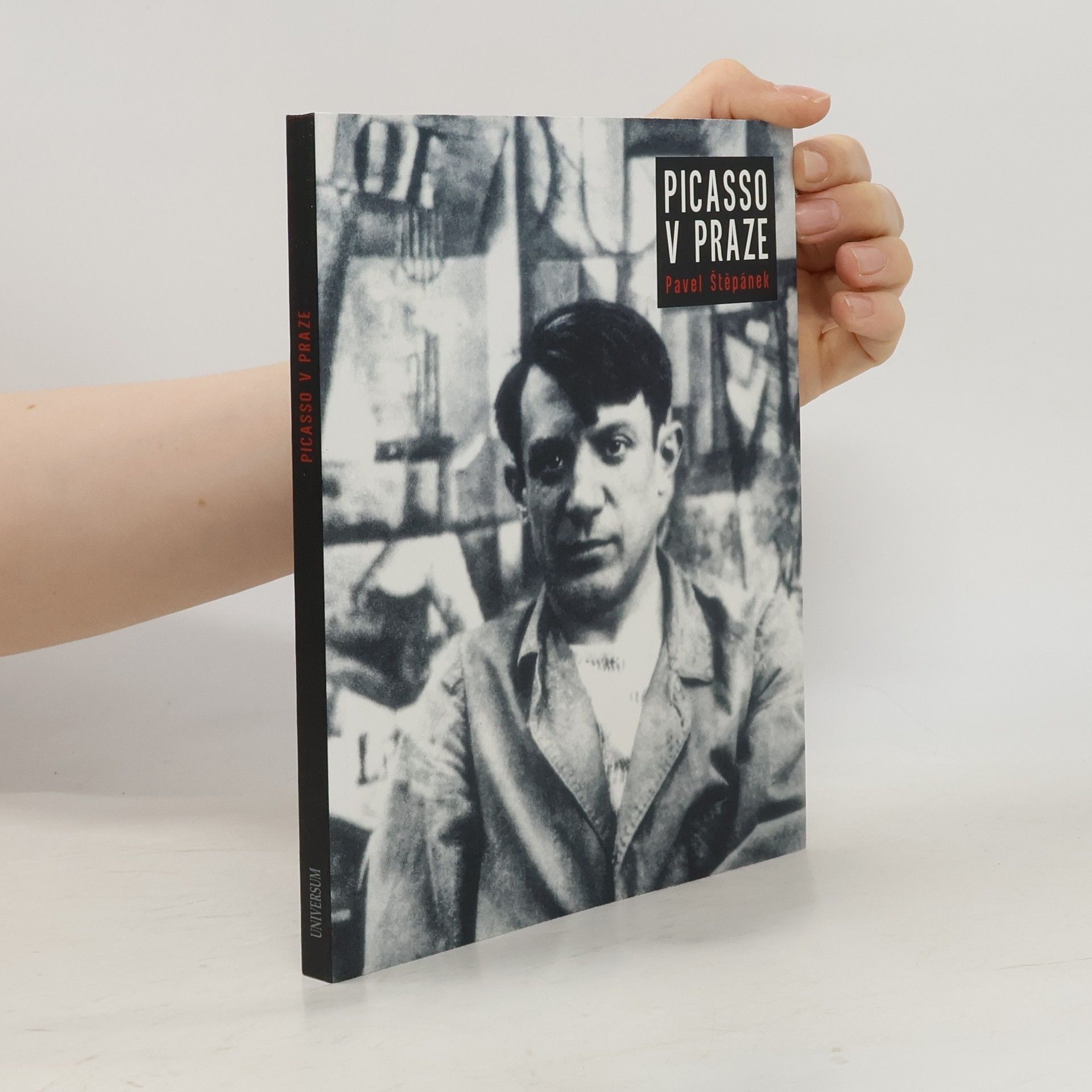 Pavel Štěpánek Picasso v Praze