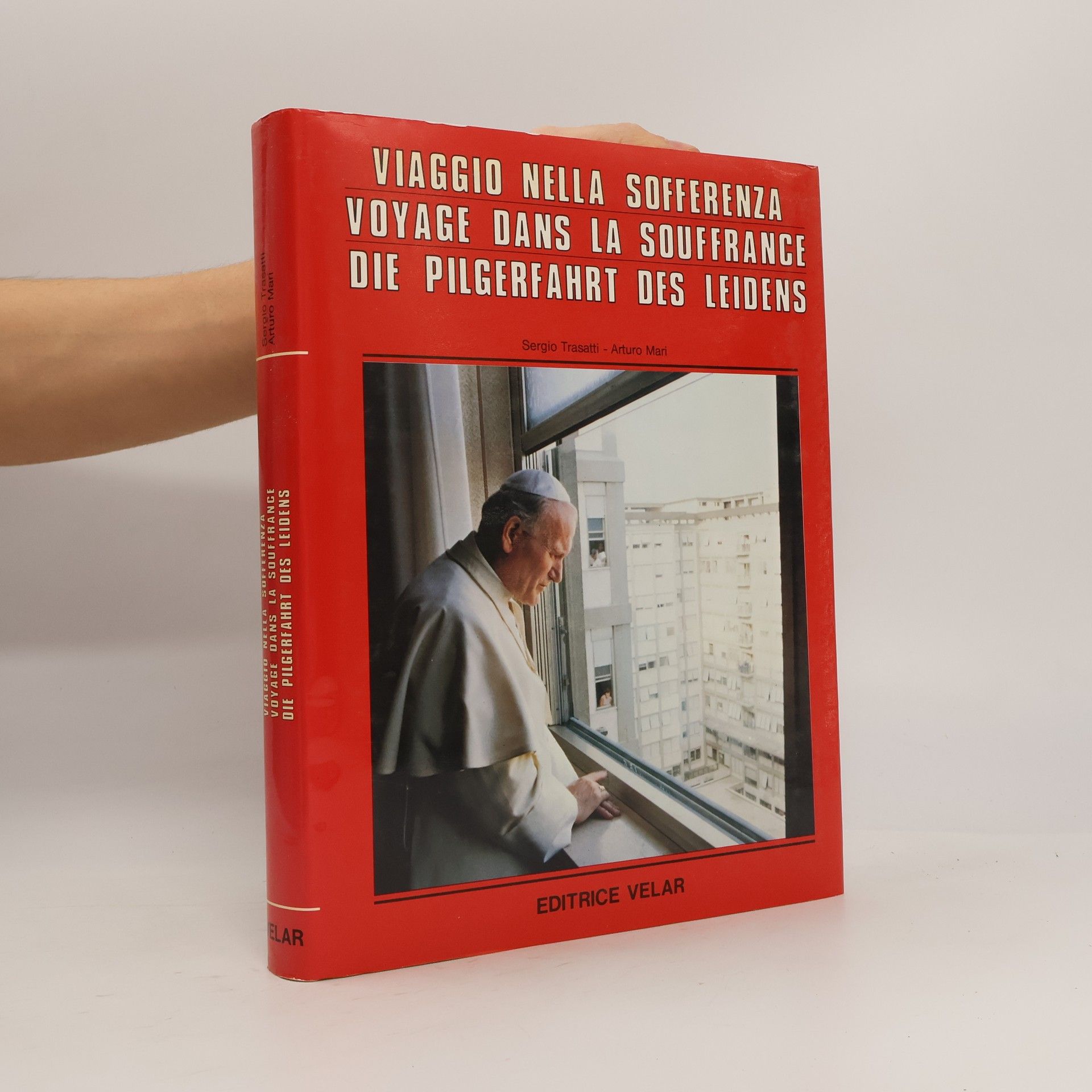 Autores varios Viaggio nella sofferenza. Voyage dans la souffrance. Die pilgerfahrt des leidens