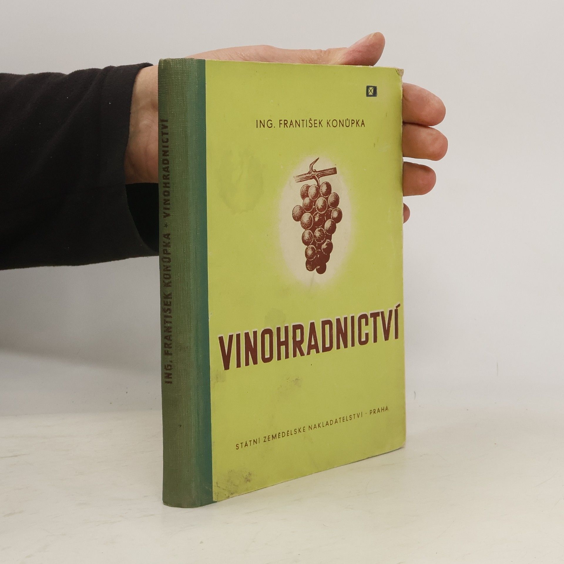 Vinohradnictví