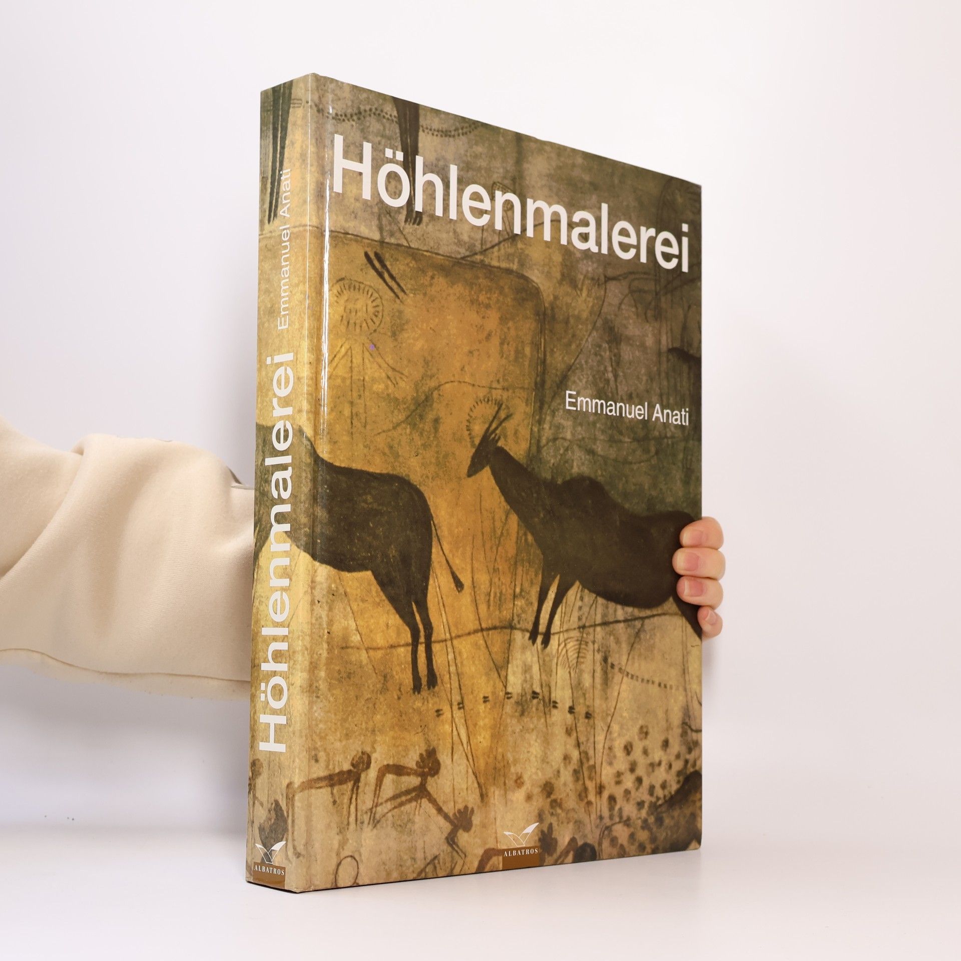 Emmanuel Anati Höhlenmalerei