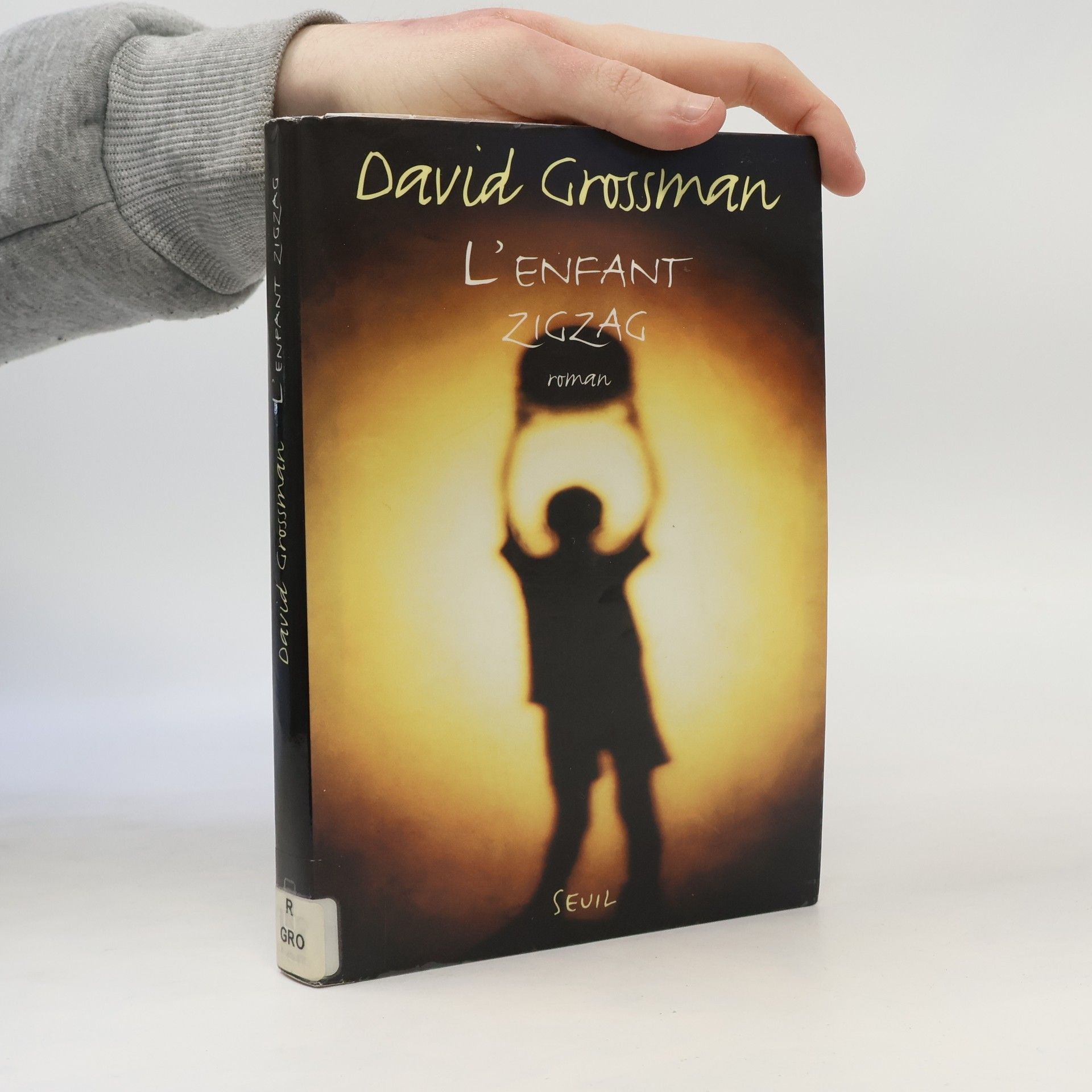 David Grossman L'enfant zigzag