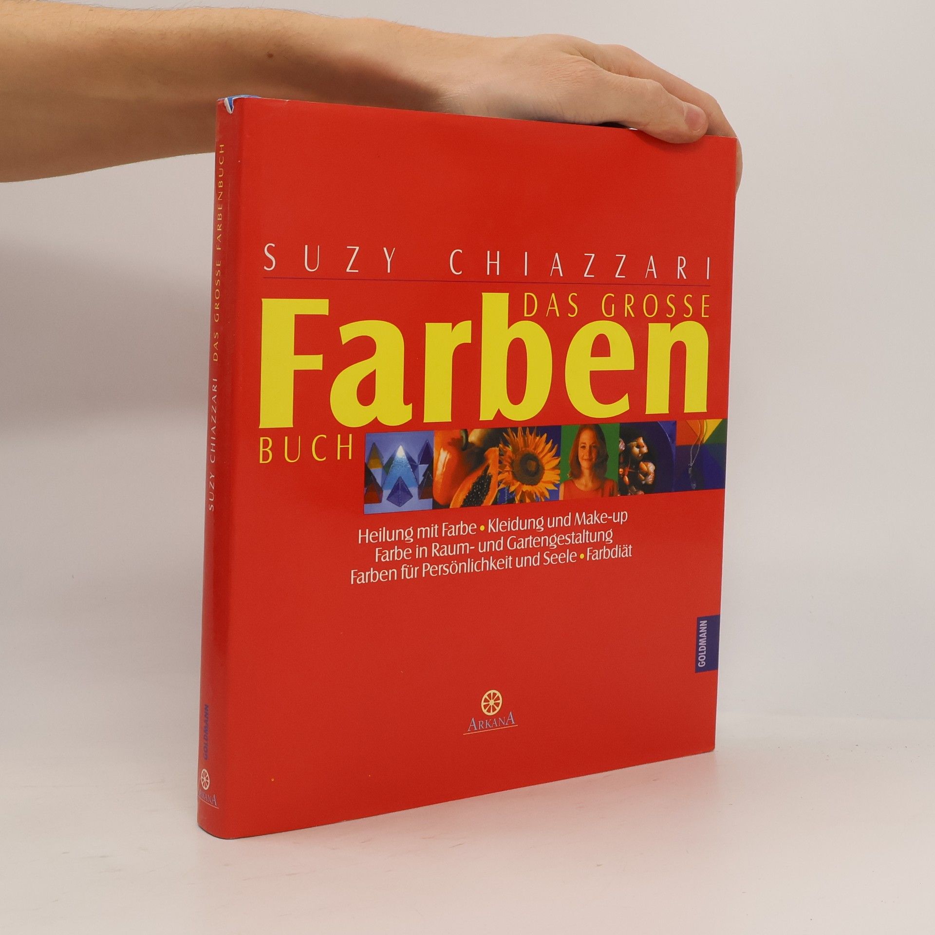 Suzy Chiazzari Das große Farbenbuch