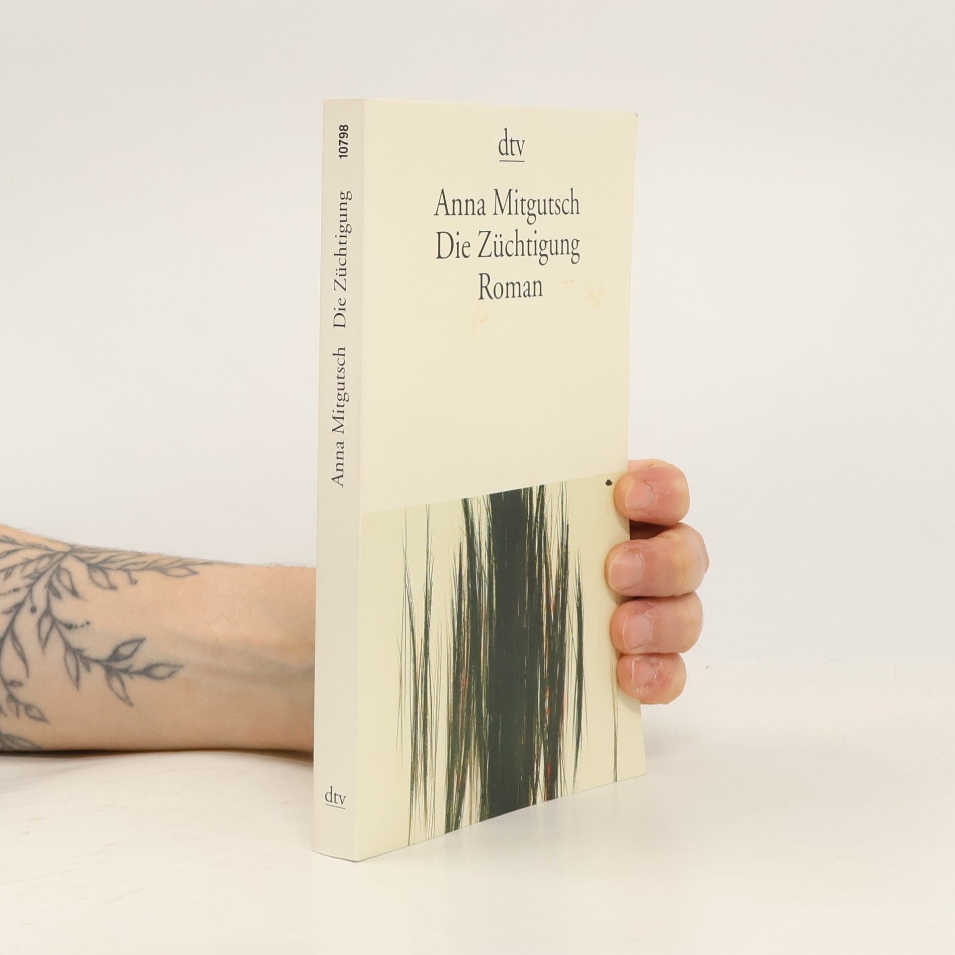 Anna Mitgutsch Die Züchtigung