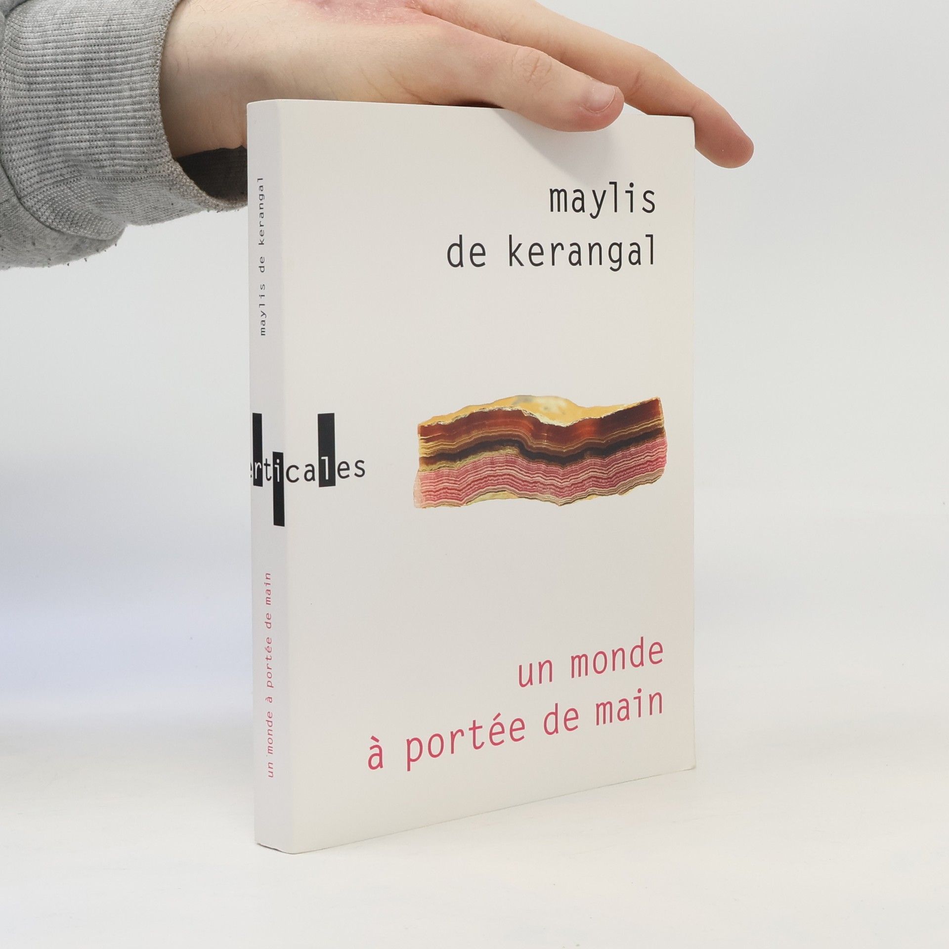 Maylis de Kerangal Un monde à portée de main