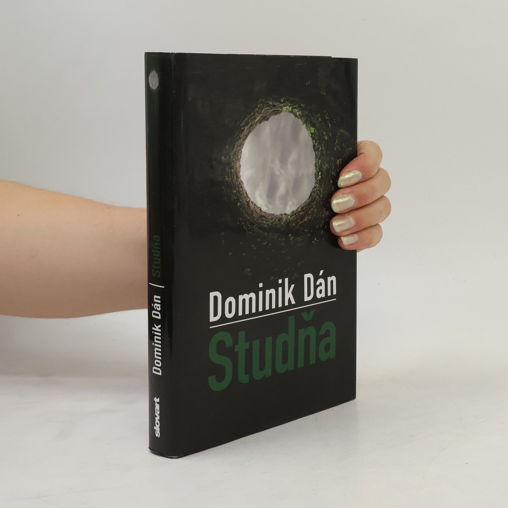 Dominik Dán Studňa