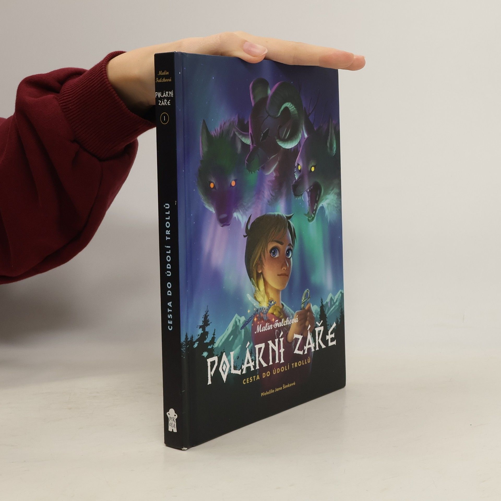 Malin Falch Polární záře. Cesta do Údolí trollů