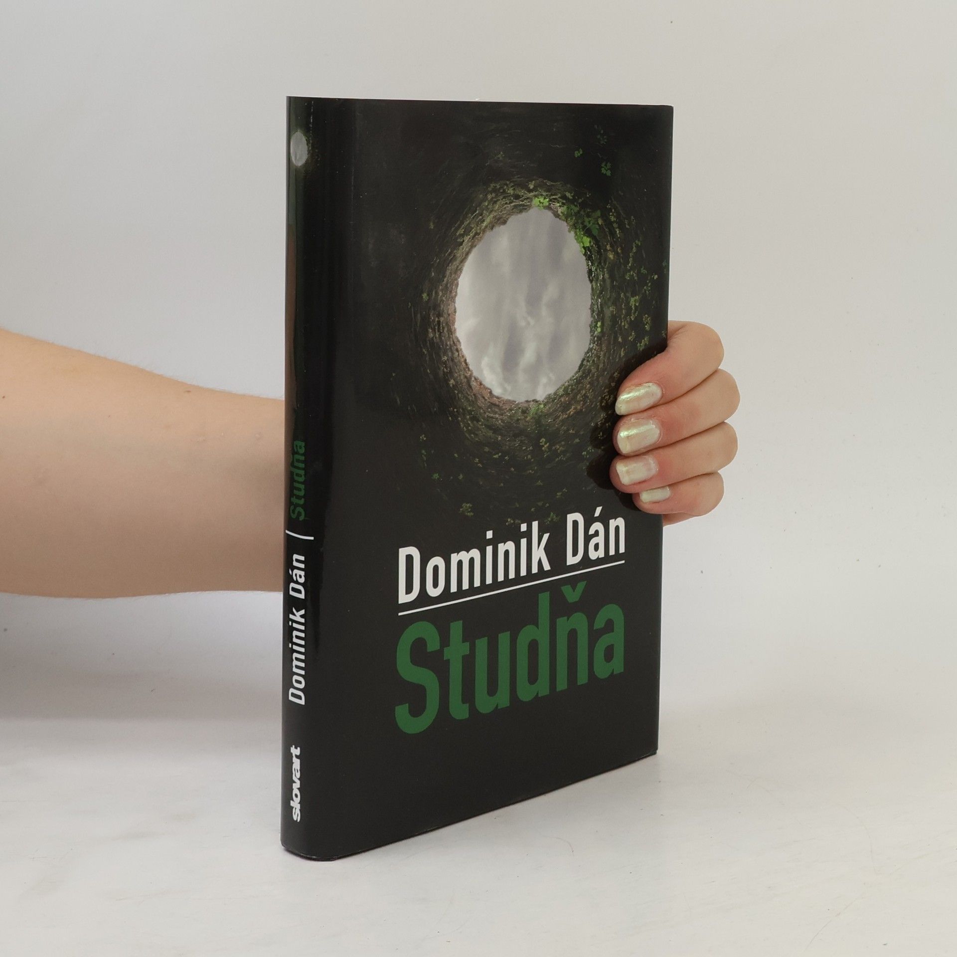 Dominik Dán Studňa