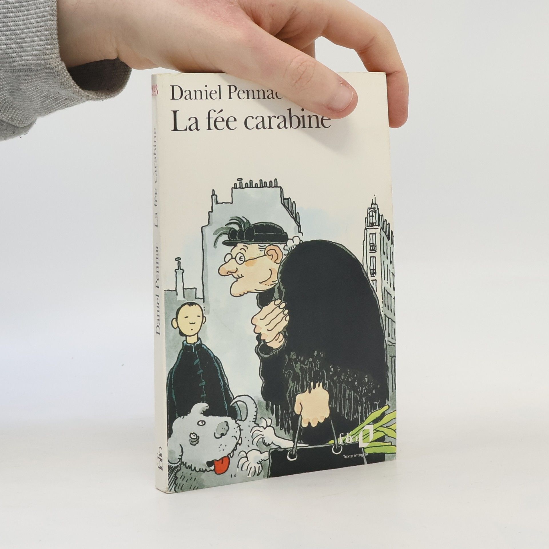 Daniel Pennac La fée carabine