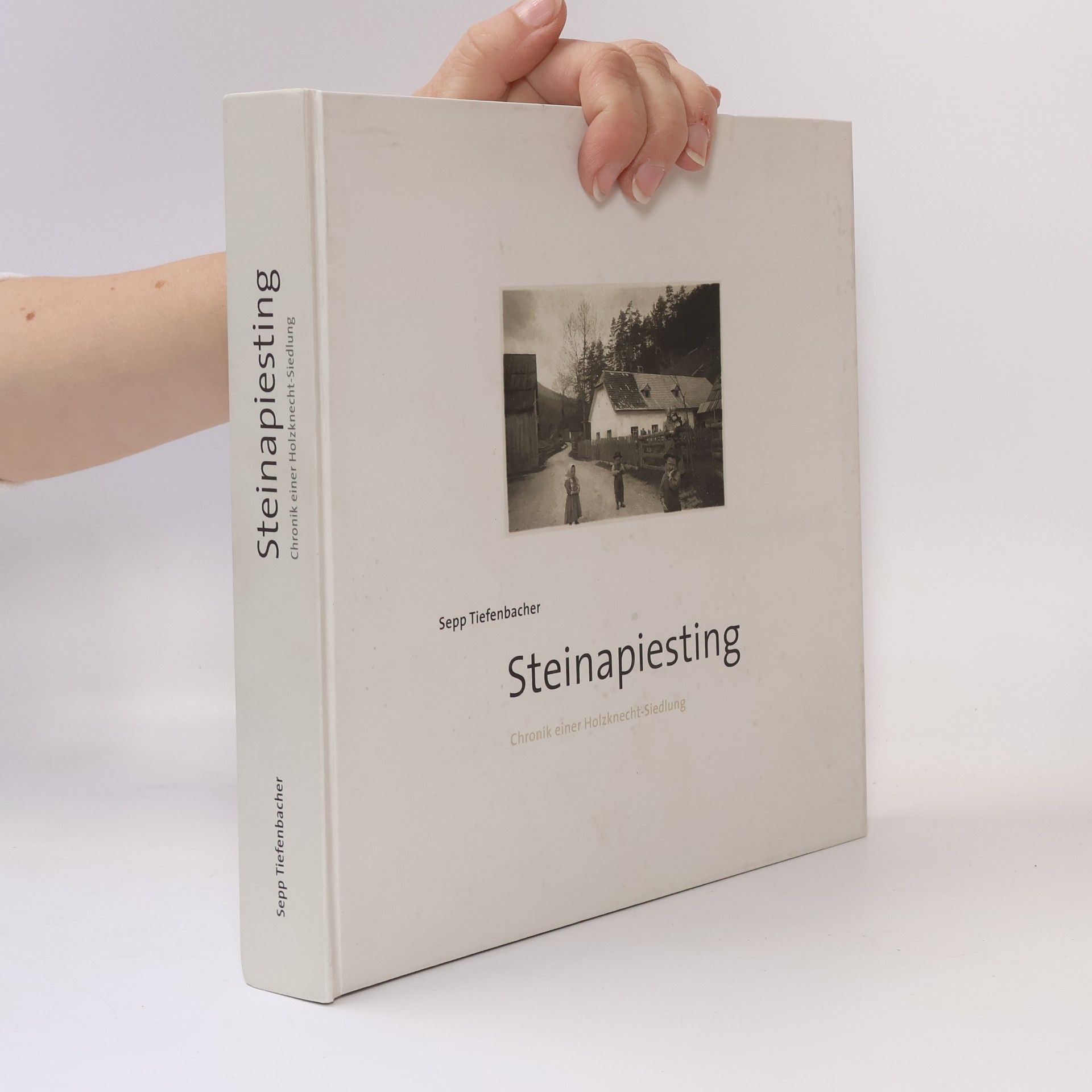 Steinapiesting