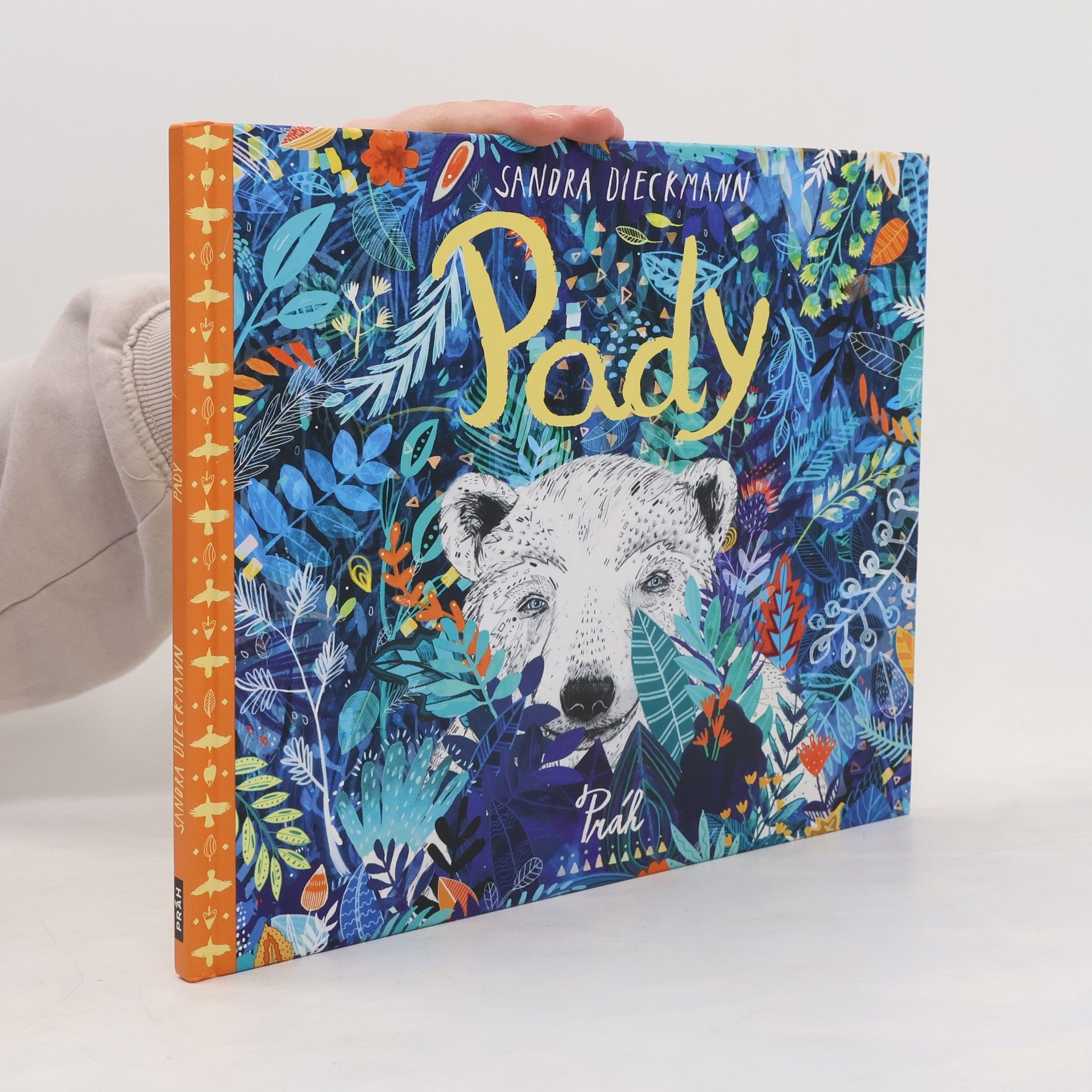 Sandra Dieckmann Pady