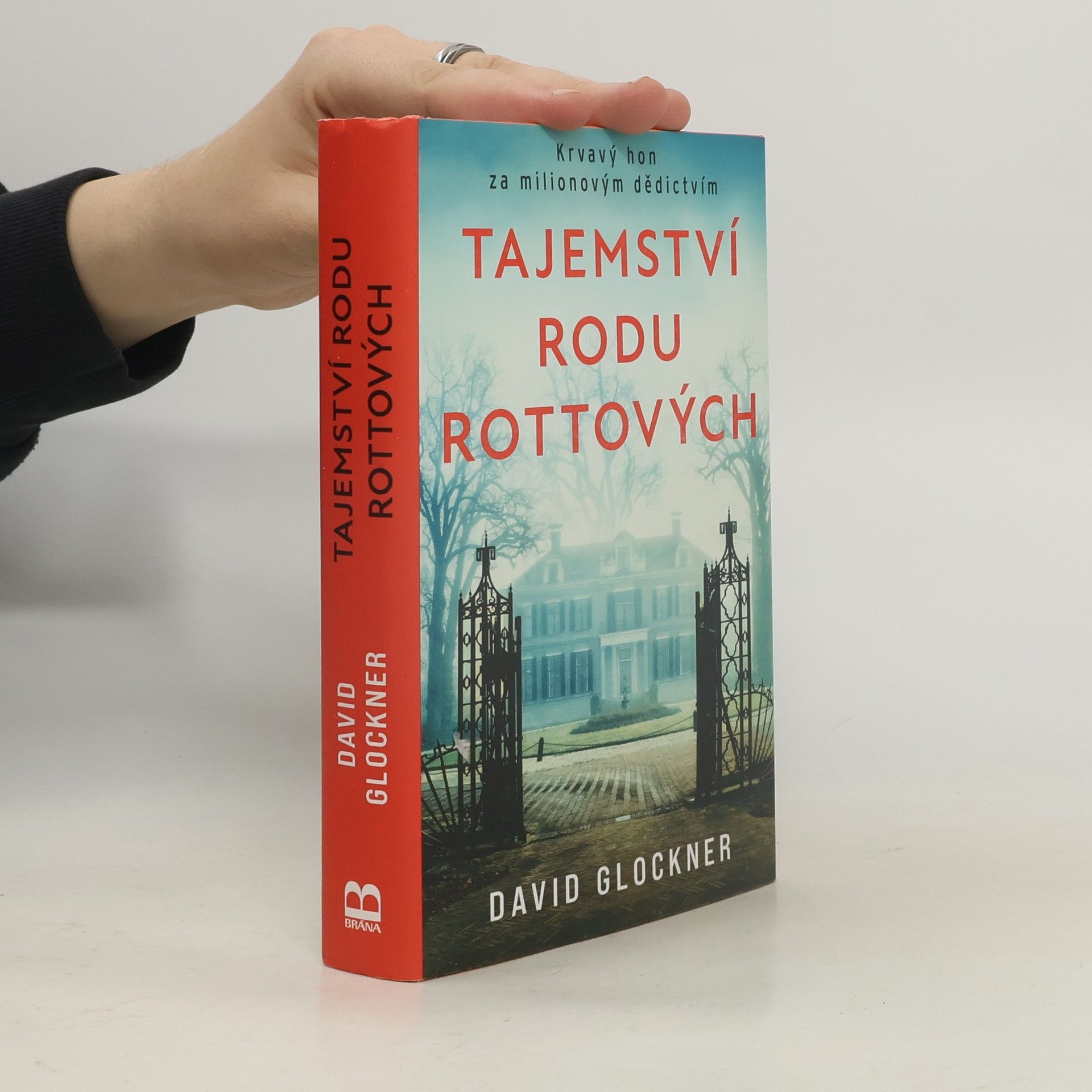 David Glockner Tajemství rodu Rottových