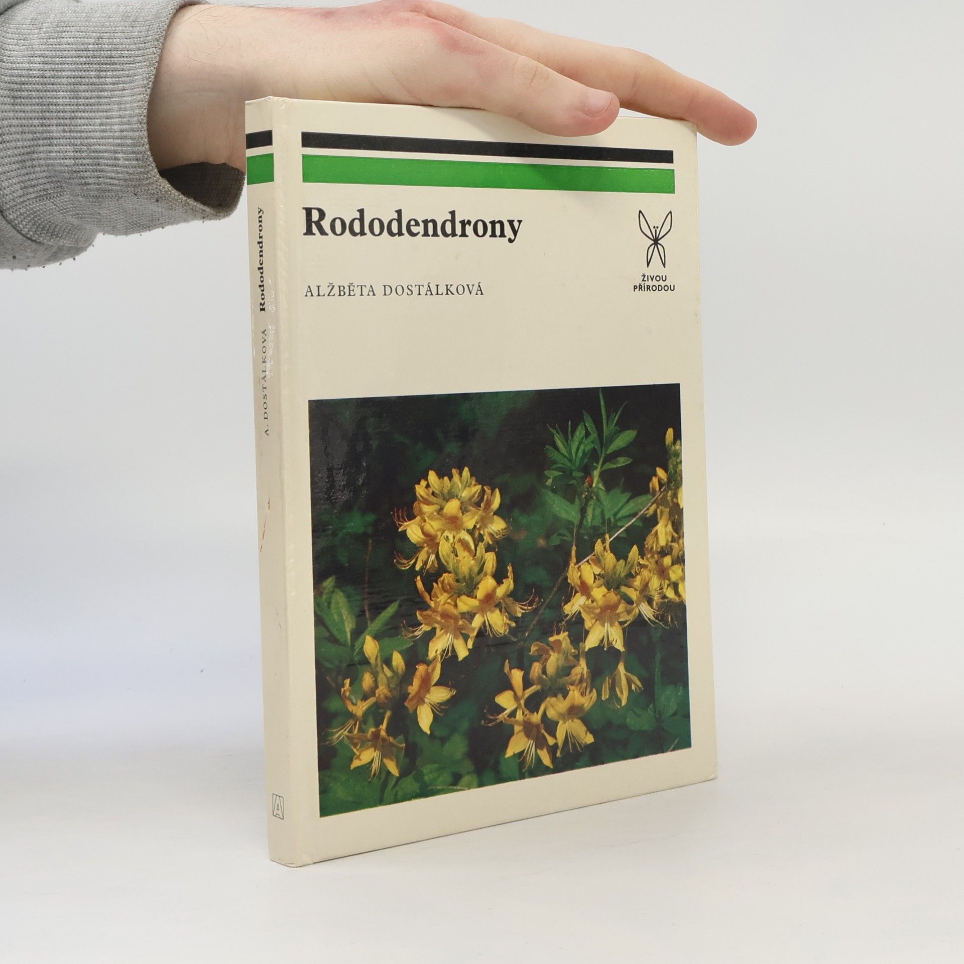 Alžběta Dostálková Rododendrony