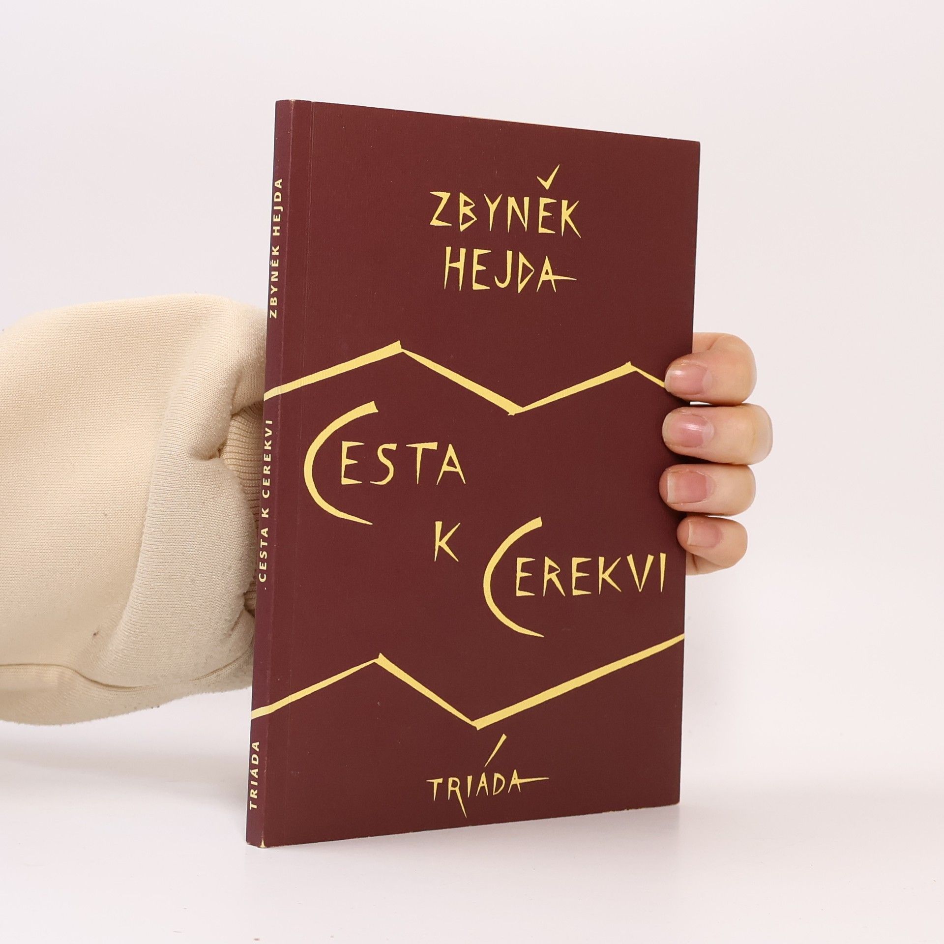 Zbyněk Hejda Cesta k Cerekvi