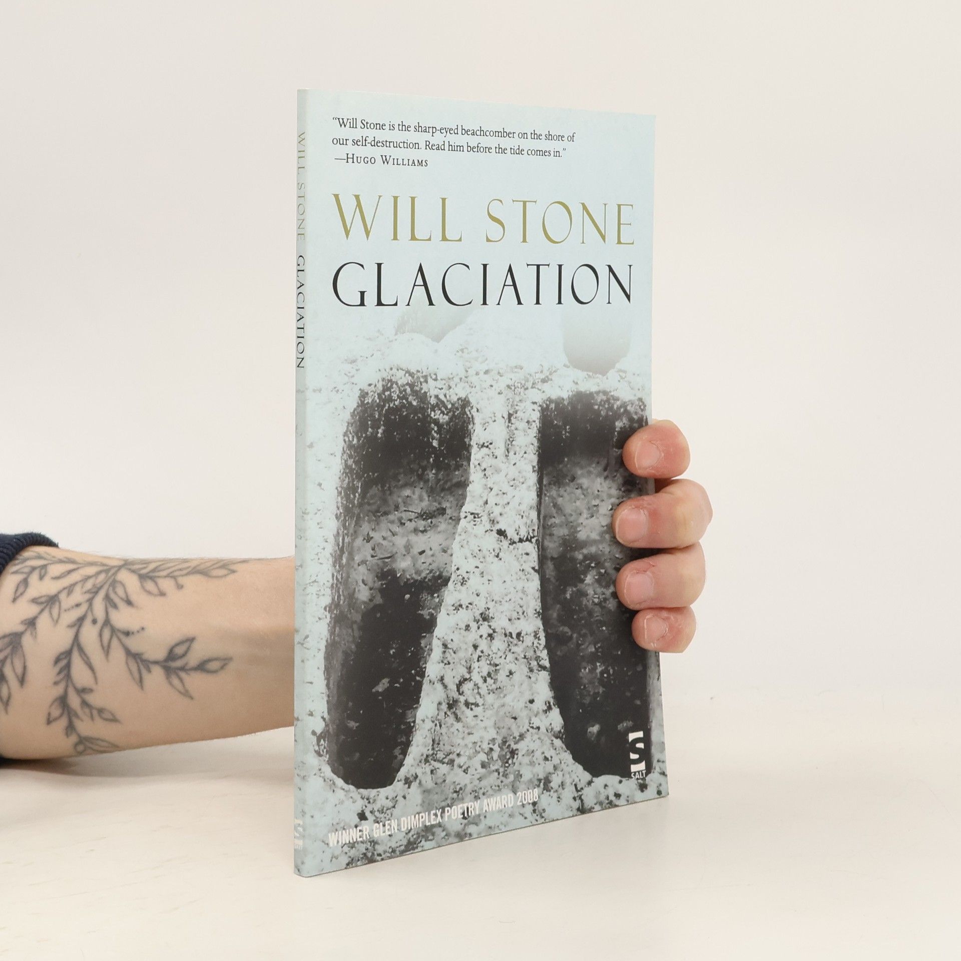 Will Stone Salt Modern Poets: Glaciation