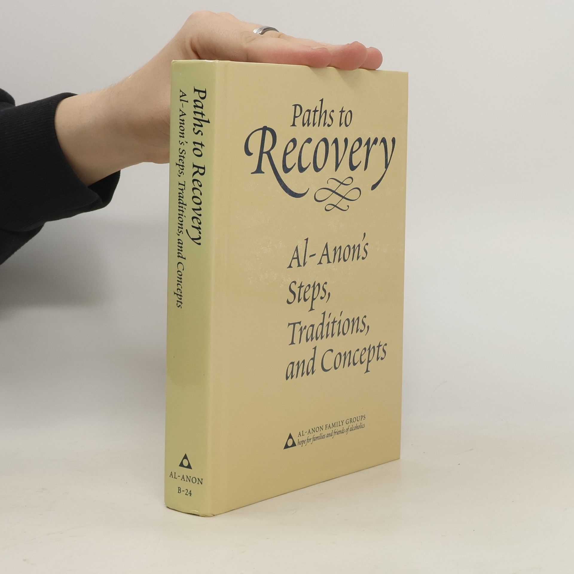 Kolektív autorov Paths to Recovery