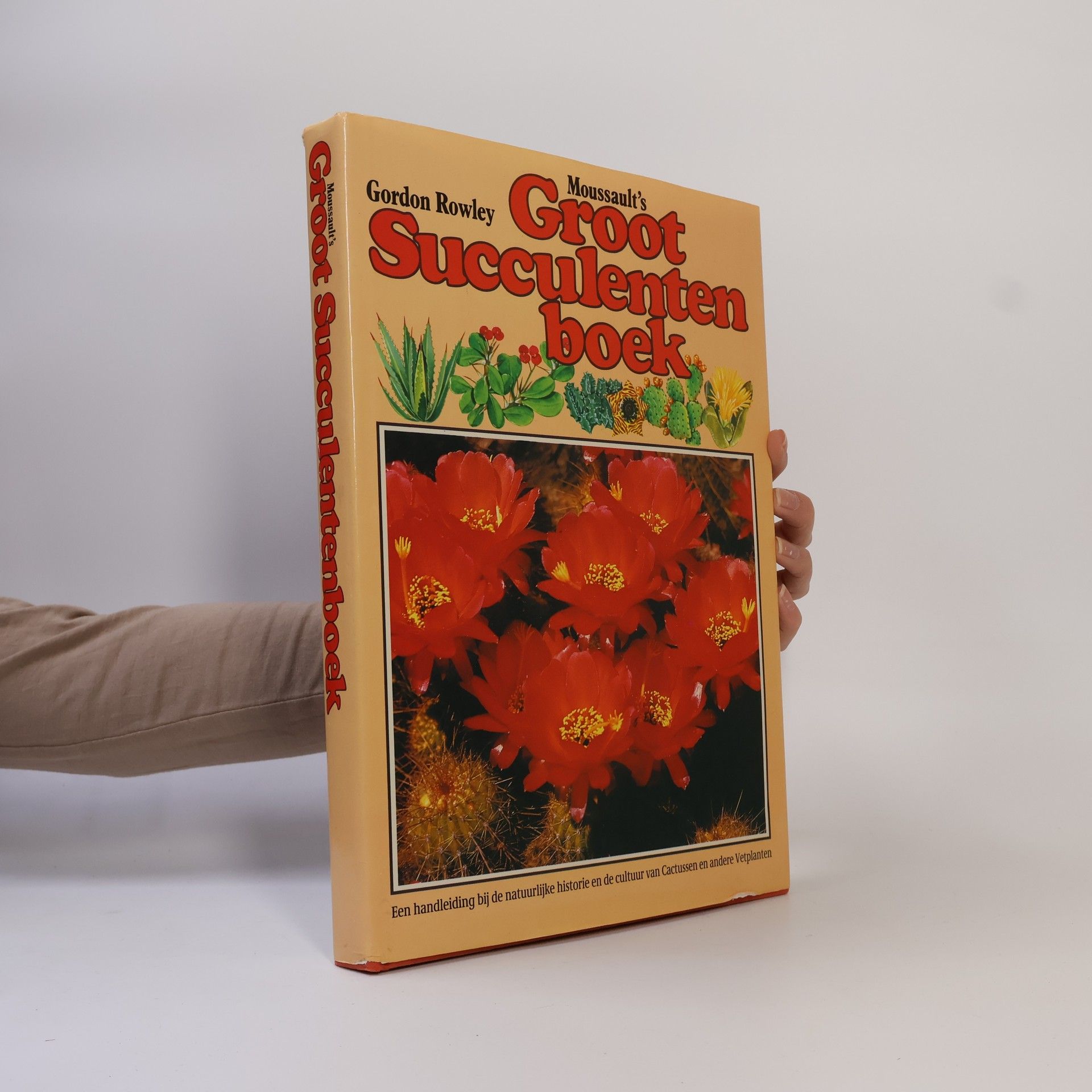 Gordon Douglas Rowley Moussault's Groot Succulentenboek