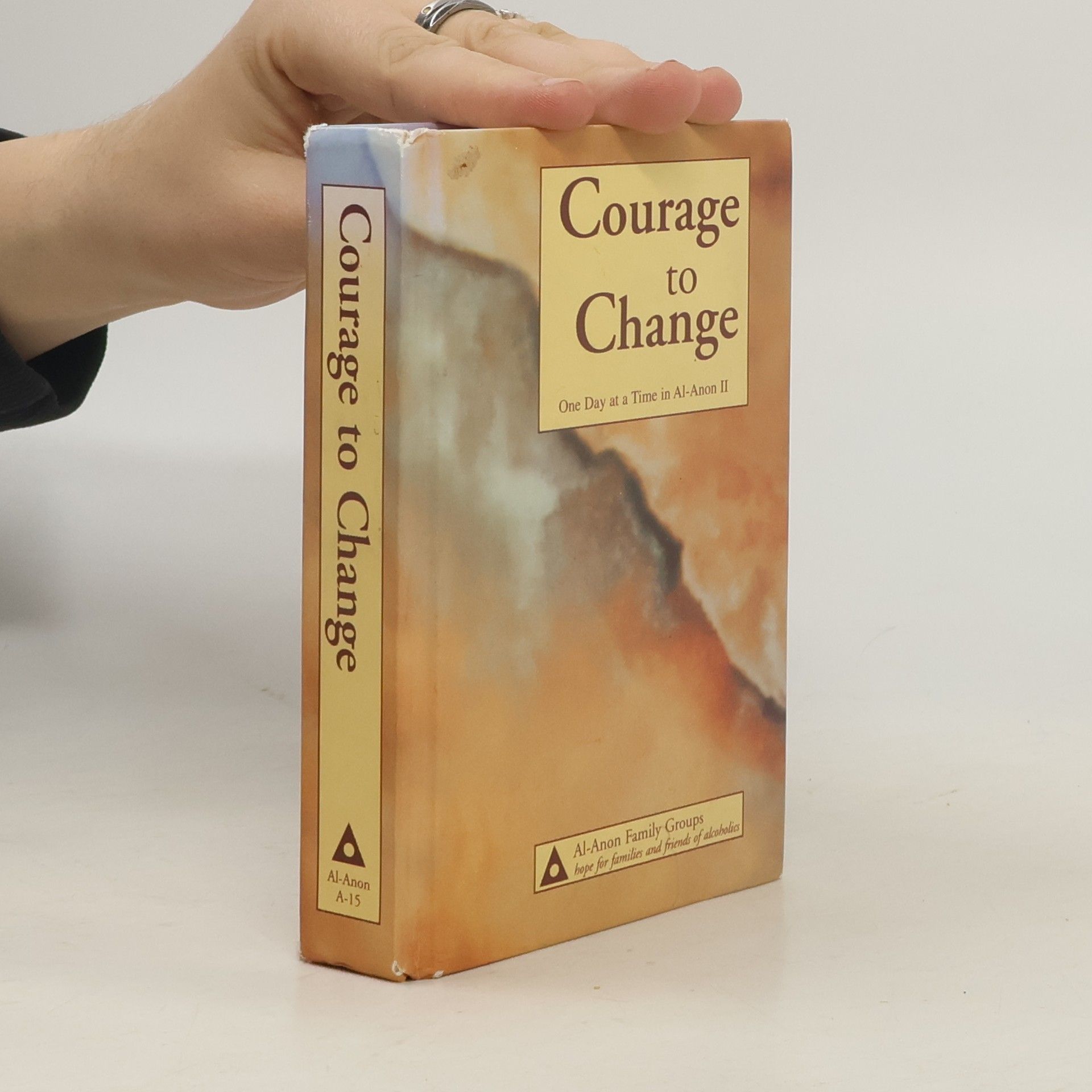 Kolektív autorov Courage to change : one day at a time in Al-Anon II.