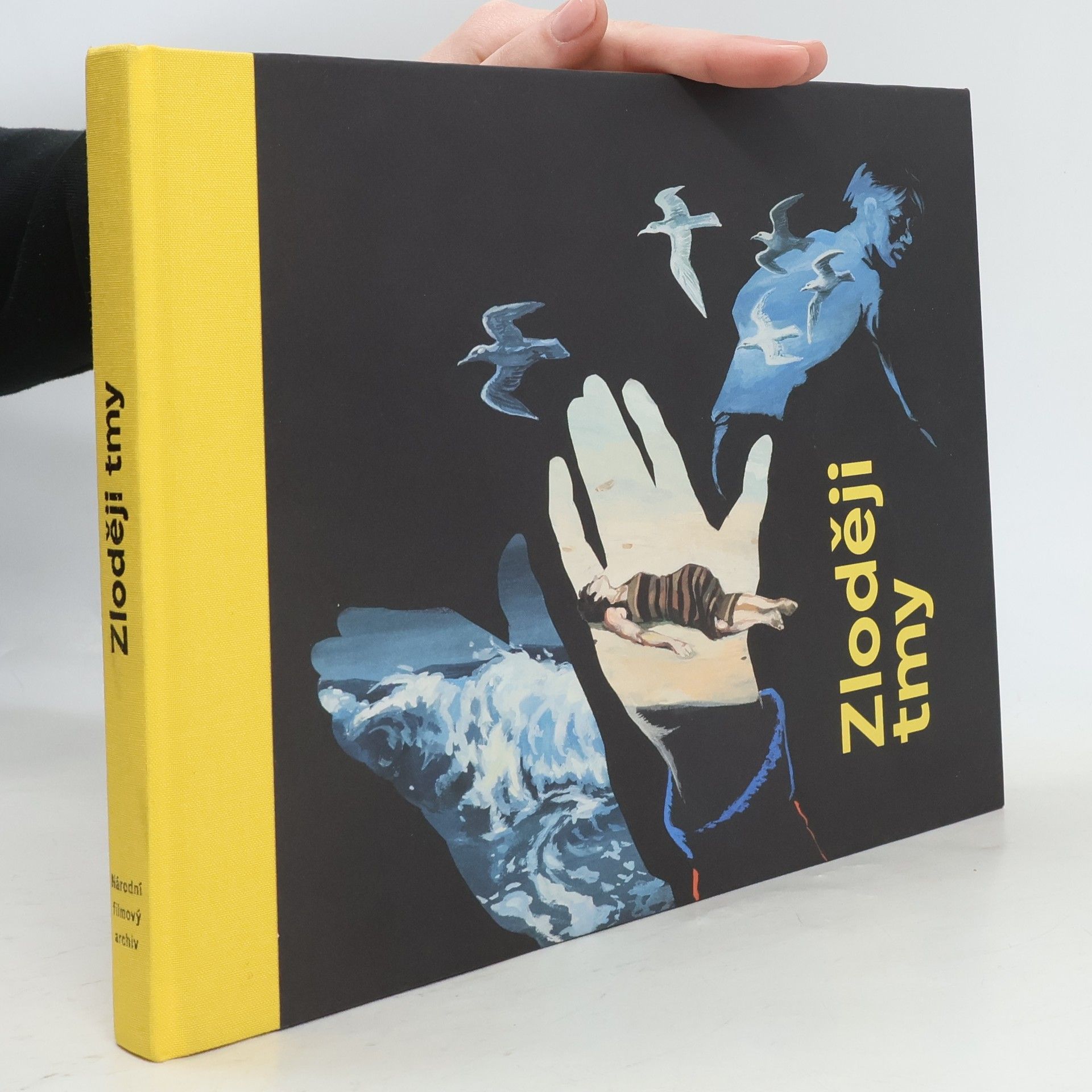 Lucie Bokšteflová Zloději tmy