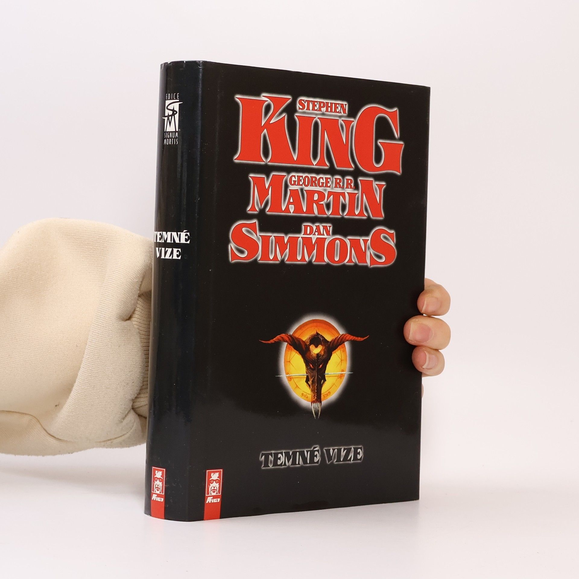 Stephen King Temné vize