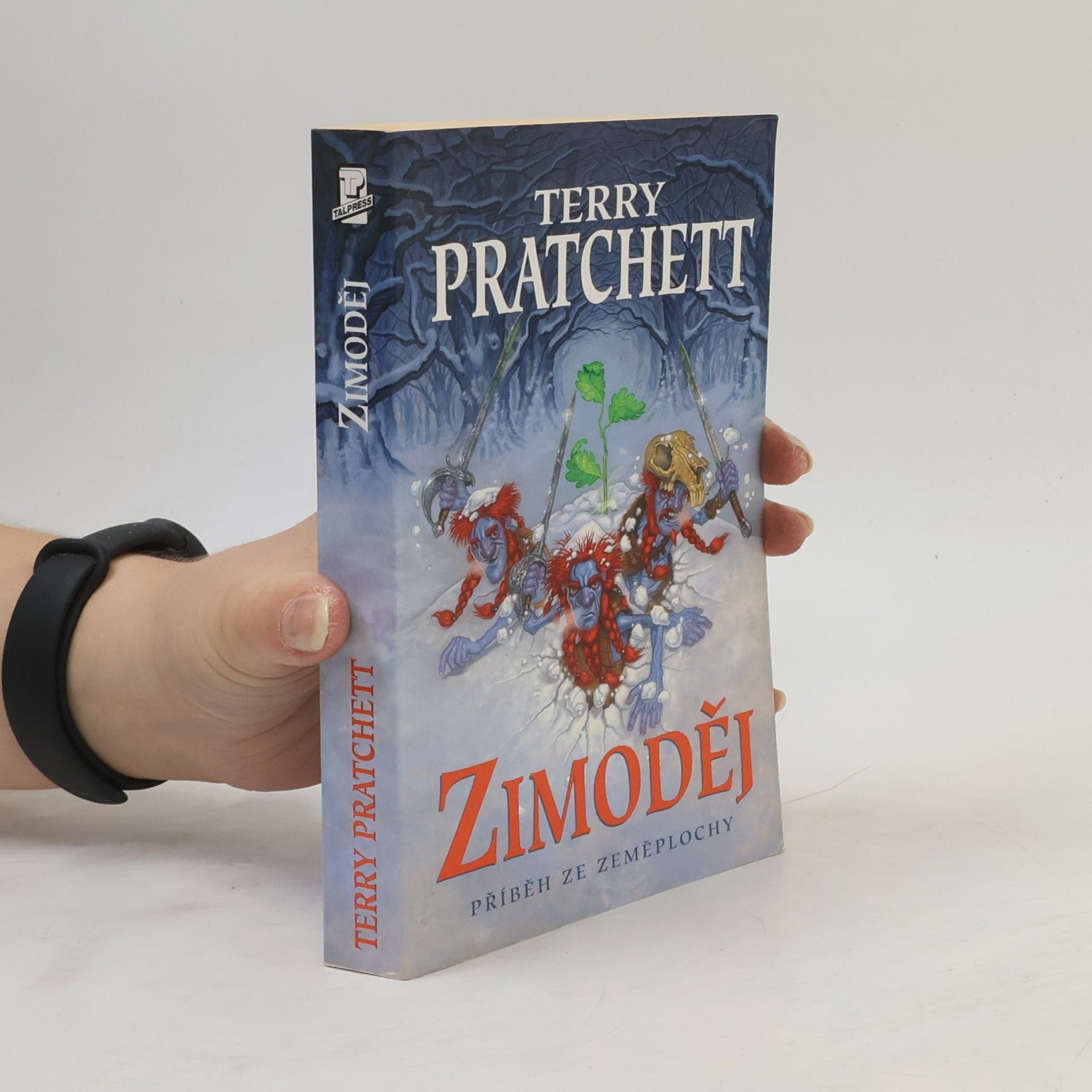 Terry Pratchett Zimoděj