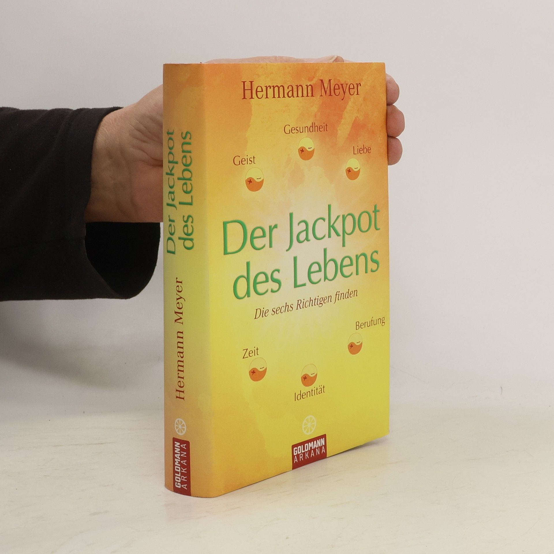 Herman Meyer Der Jackpot des Lebens