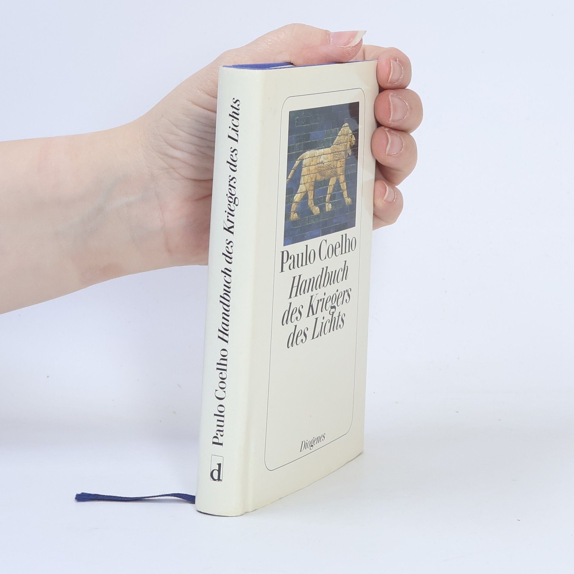 Paulo Coelho Handbuch des Kriegers des Lichts