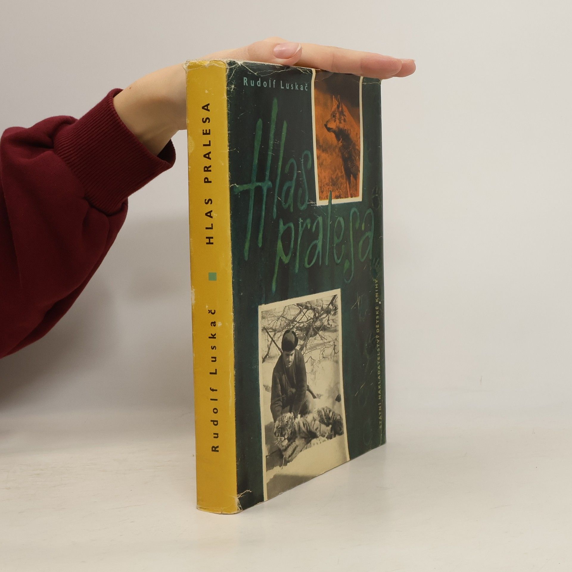 Rudolf Luskač Hlas pralesa