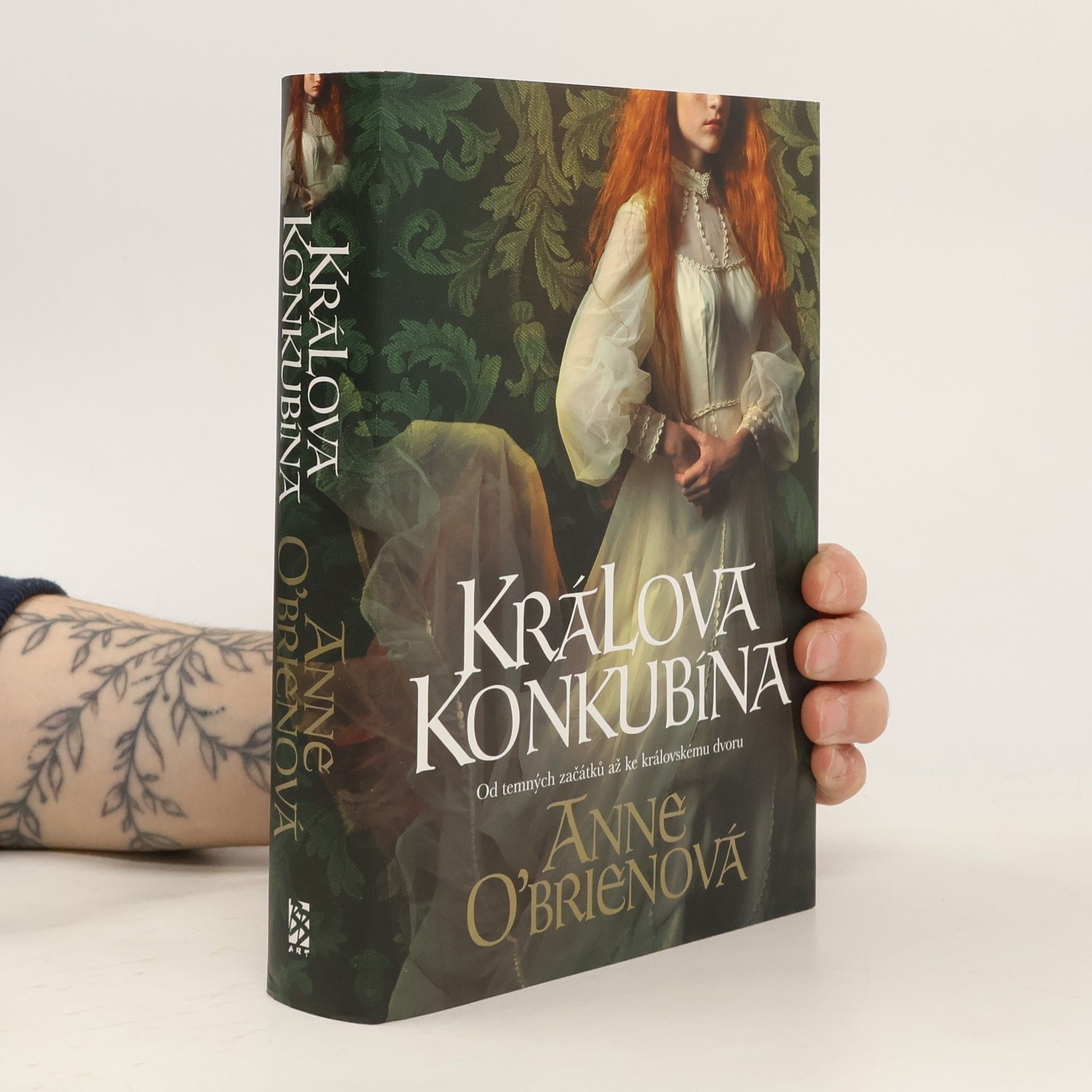 Anne O. Brien Králova konkubína