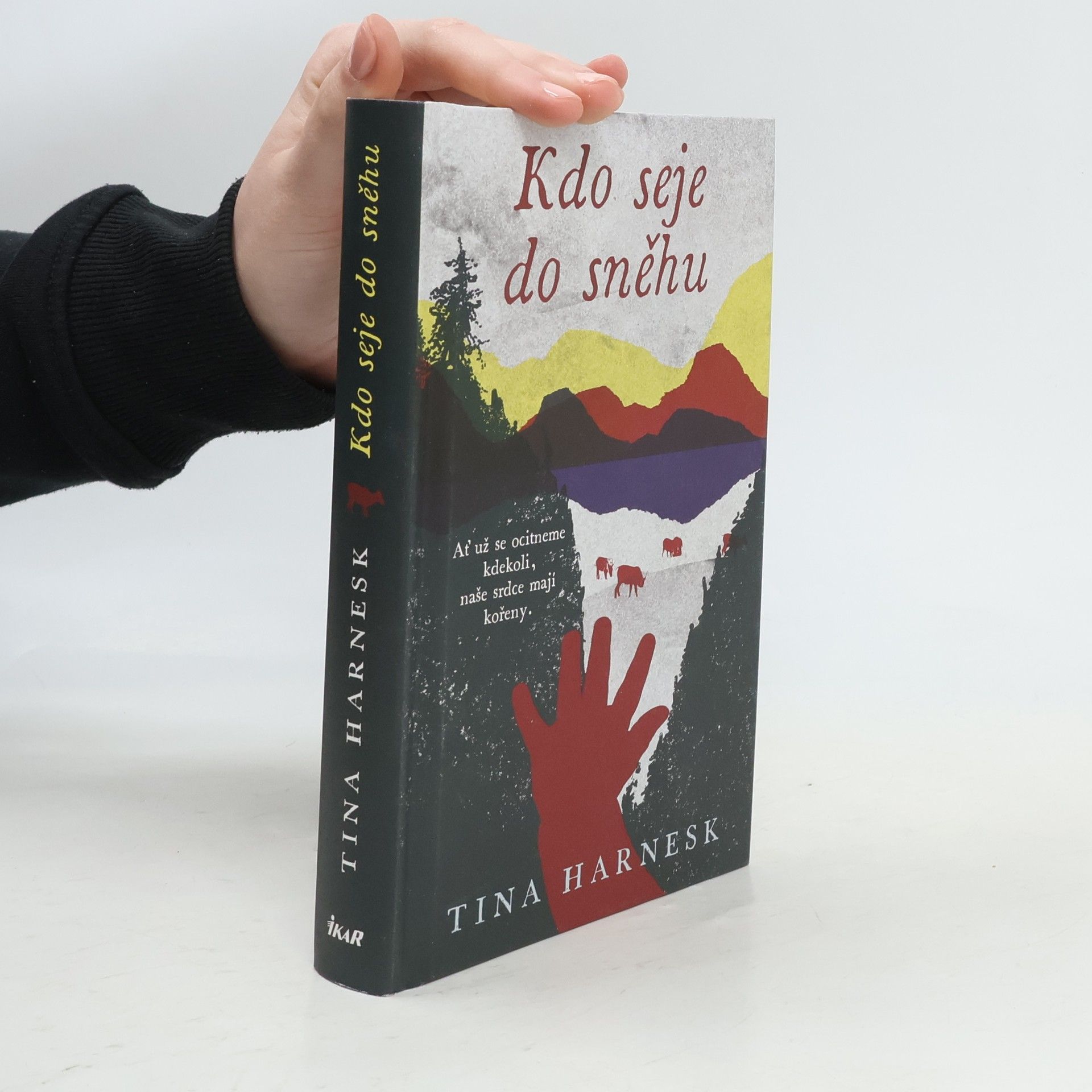 Tina Harnesk Kdo seje do sněhu