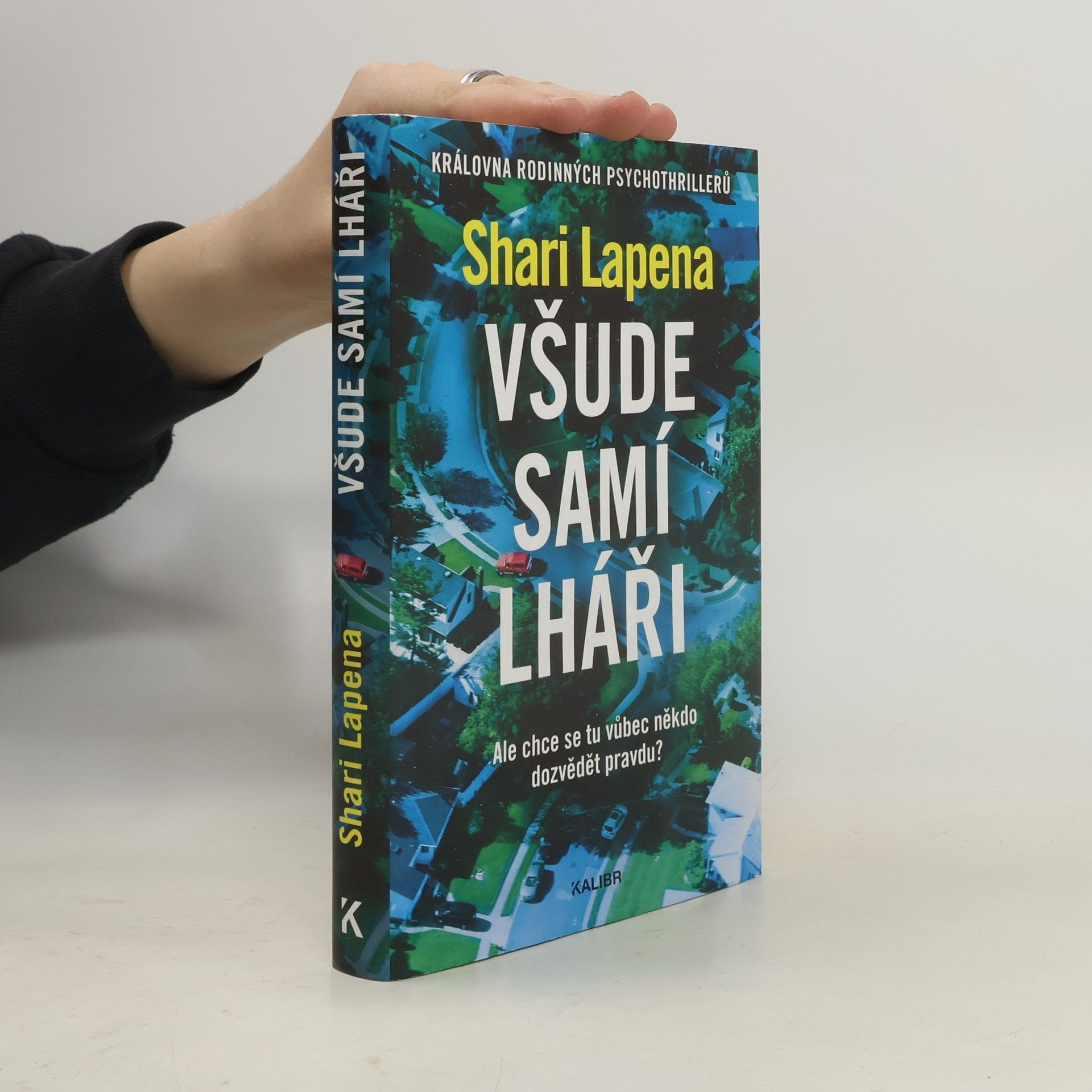 Shari Lapena Všude samí lháři