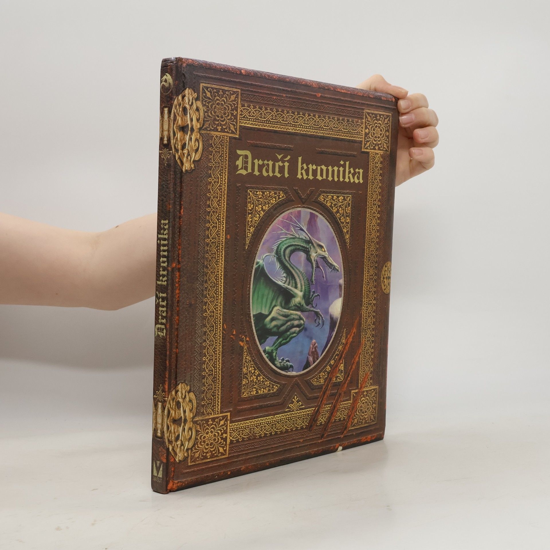 Michal Drápalík Dračí kronika: Ztracený deník Nejvyššího čaroděje, Septima Agoria