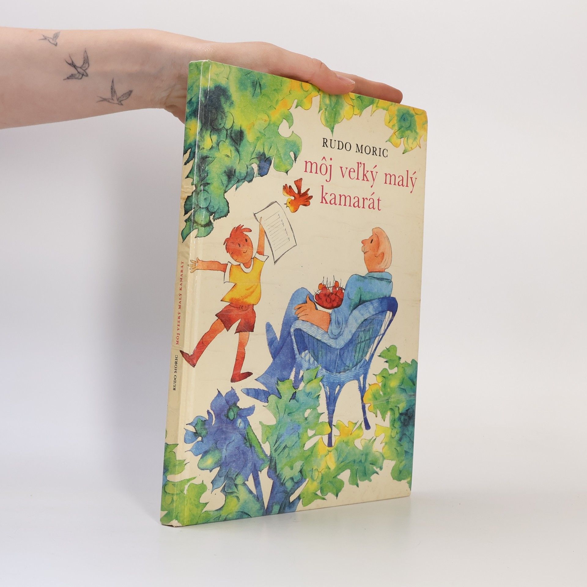 Rudo Moric Môj veľký malý kamarát