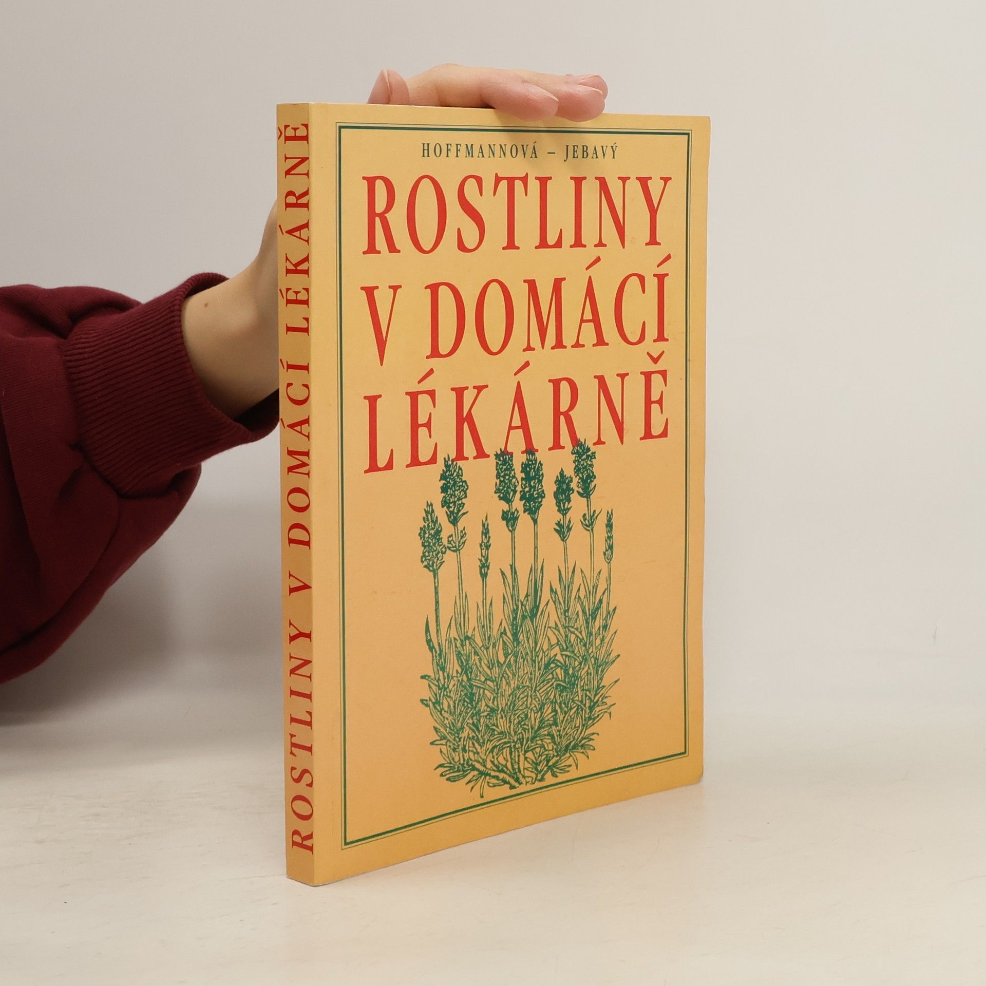 Eva Hoffmannová Rostliny v domácí lékárně