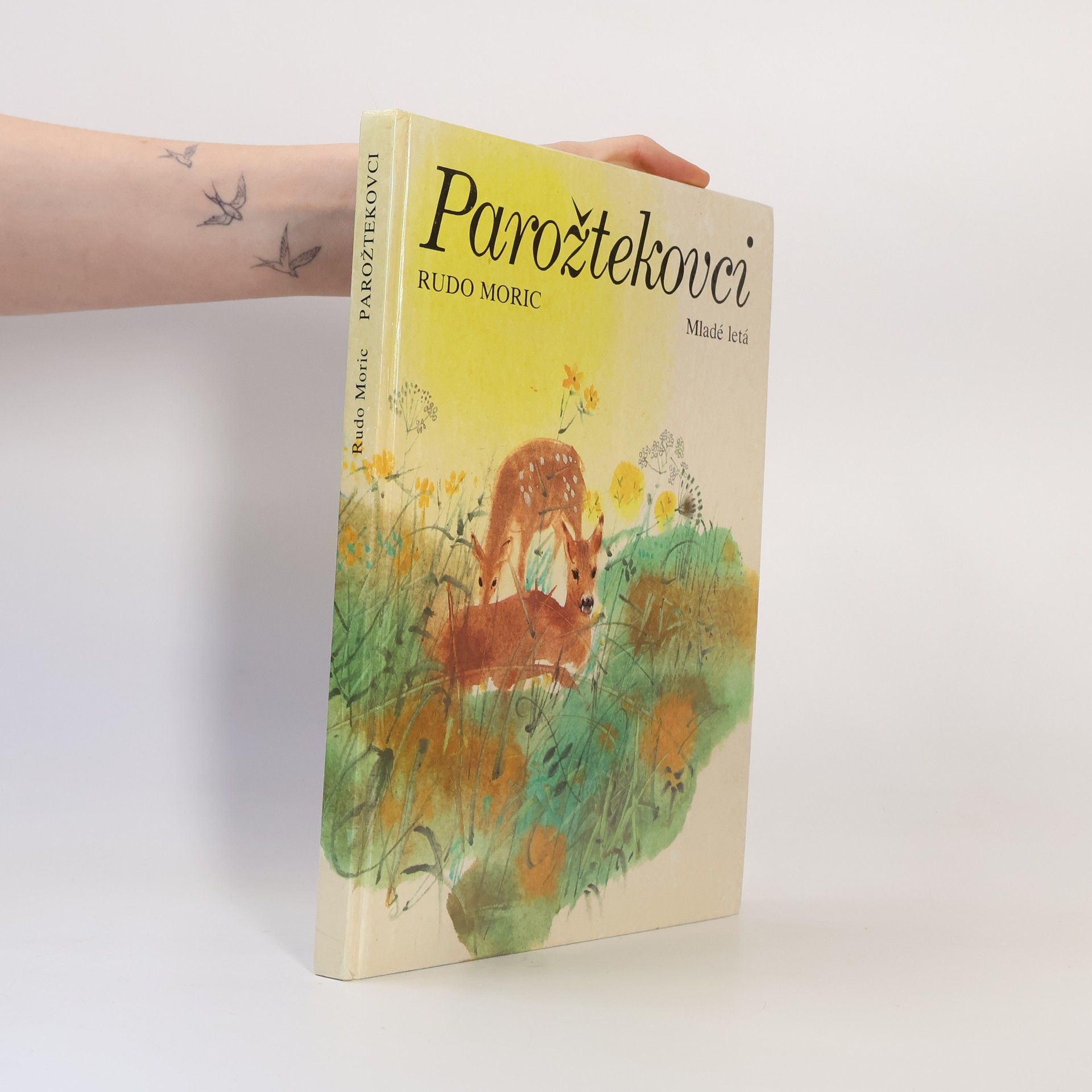 Rudo Moric Parožtekovci