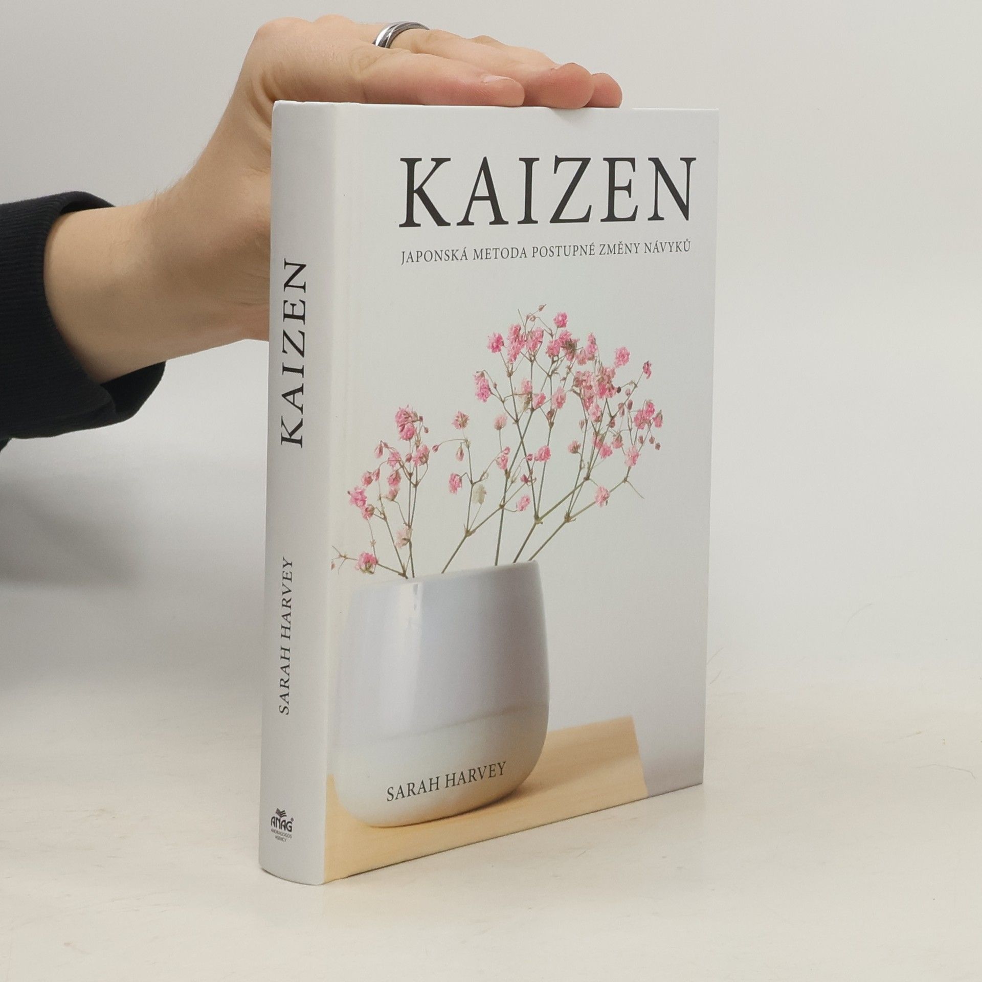 Sarah Harvey Kaizen: Japonská metoda postupné změny návyků