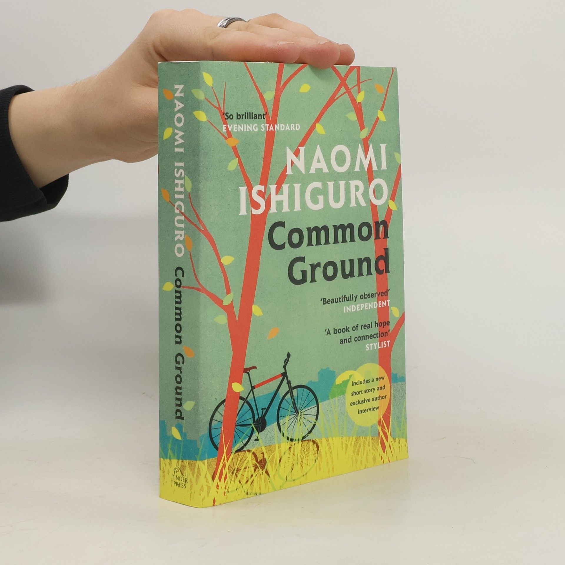 Naomi Ishiguro Common ground