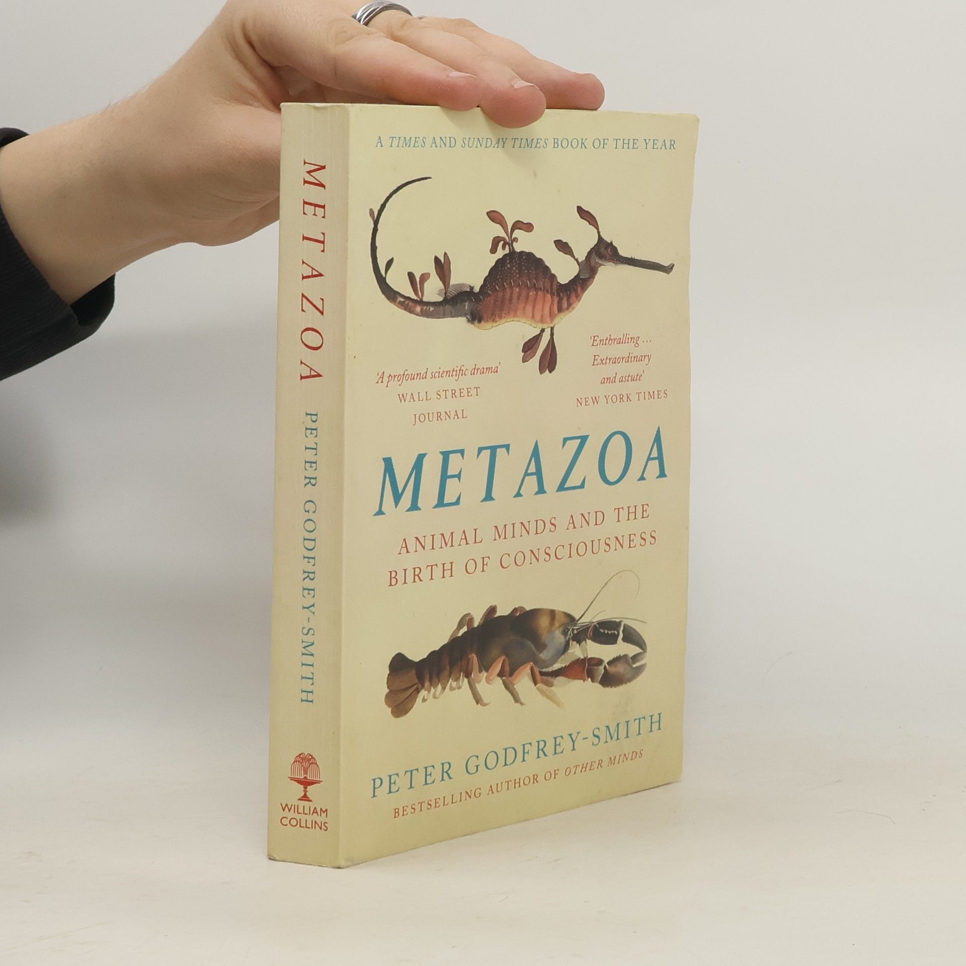 Peter Godfrey-Smith Metazoa
