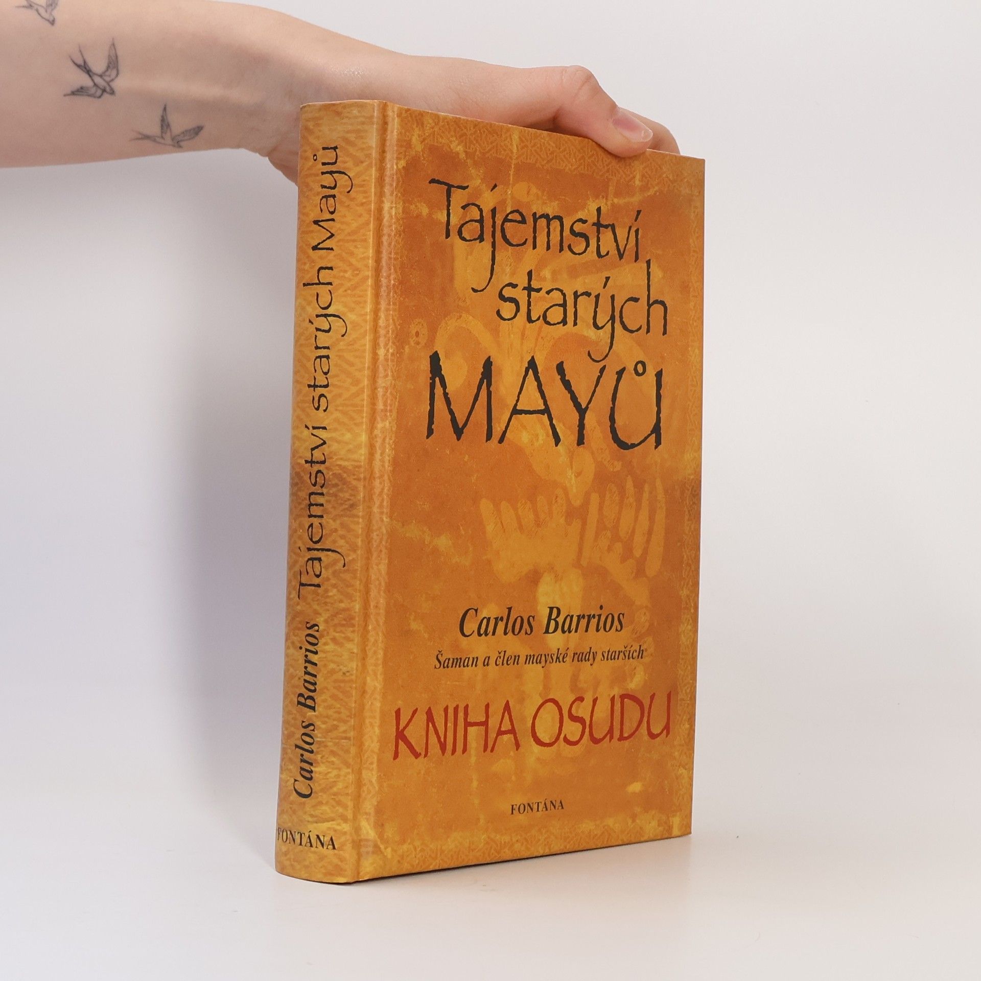 Carlos Barrios Tajemství starých Mayů